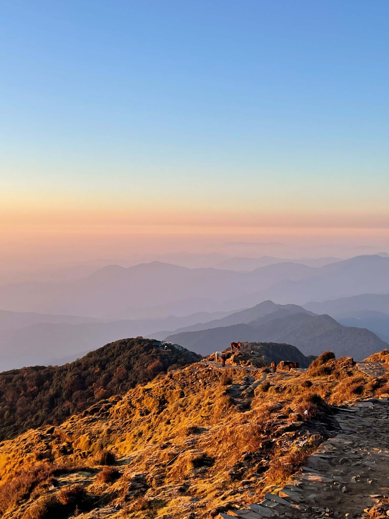 Трек Марди Химал. Священный путь к дому Шивы. (16/105)