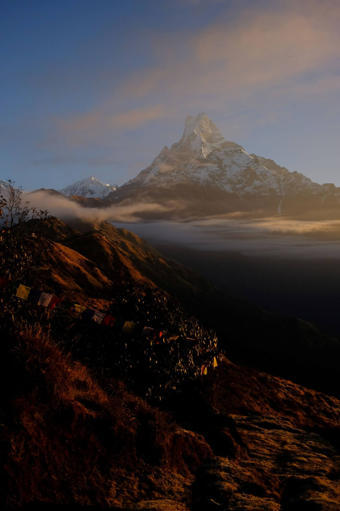 Трек Марди Химал. Священный путь к дому Шивы. (29/105)