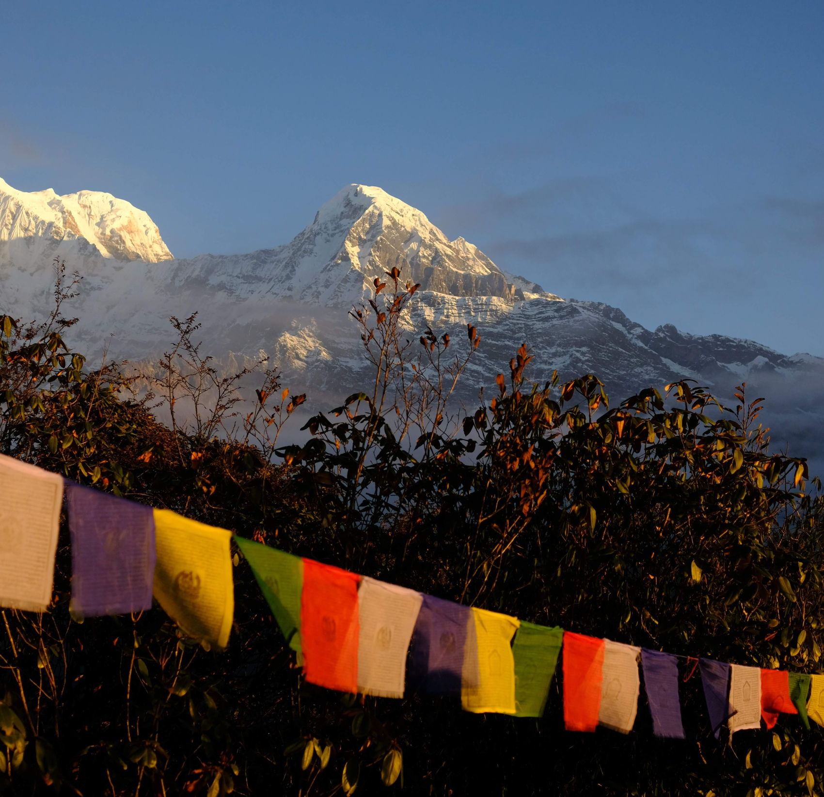 Трек Марди Химал. Священный путь к дому Шивы. (37/105)