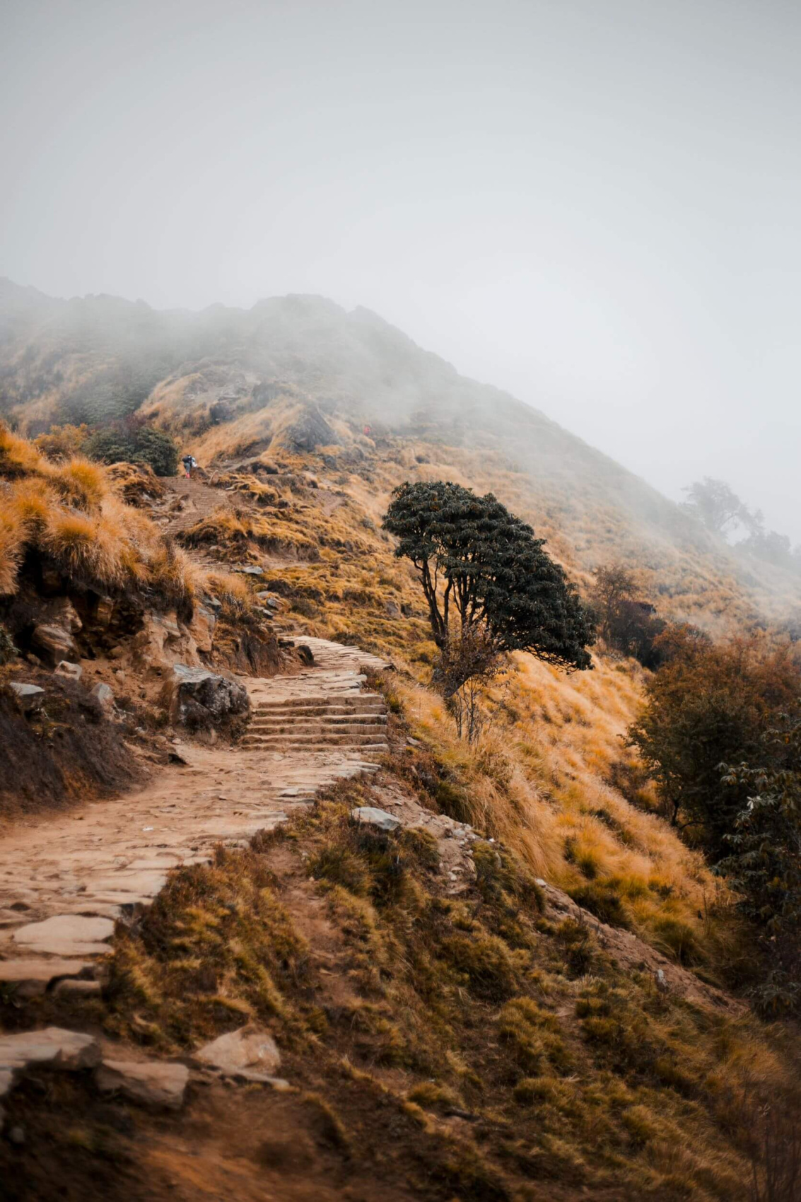 Трек Марди Химал. Священный путь к дому Шивы. (24/105)