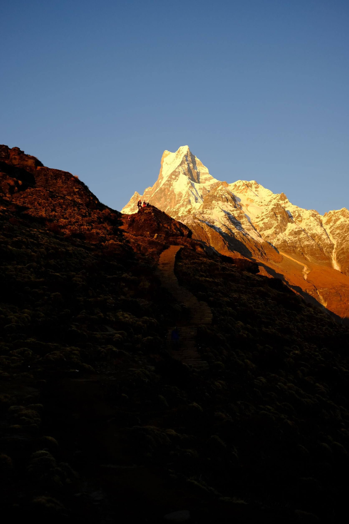 Трек Марди Химал. Священный путь к дому Шивы. (31/105)