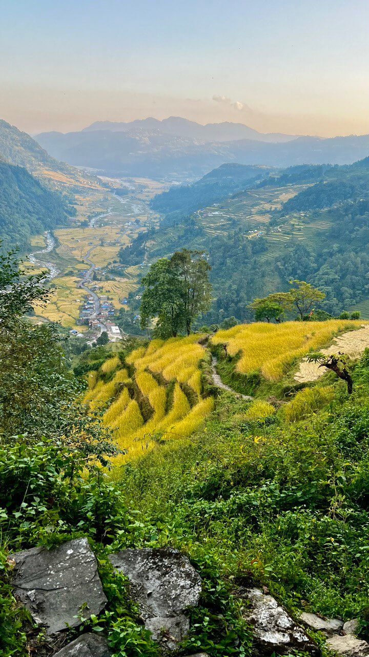 Трек Марди Химал. Священный путь к дому Шивы. (57/105)