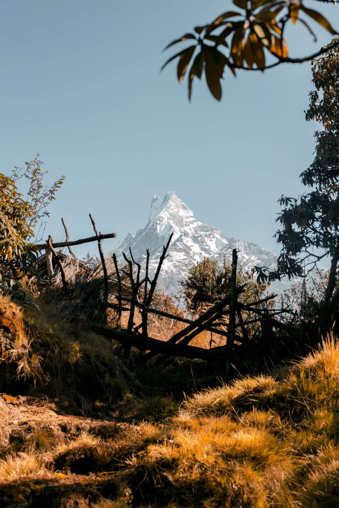 Трек Марди Химал. Священный путь к дому Шивы. (36/105)