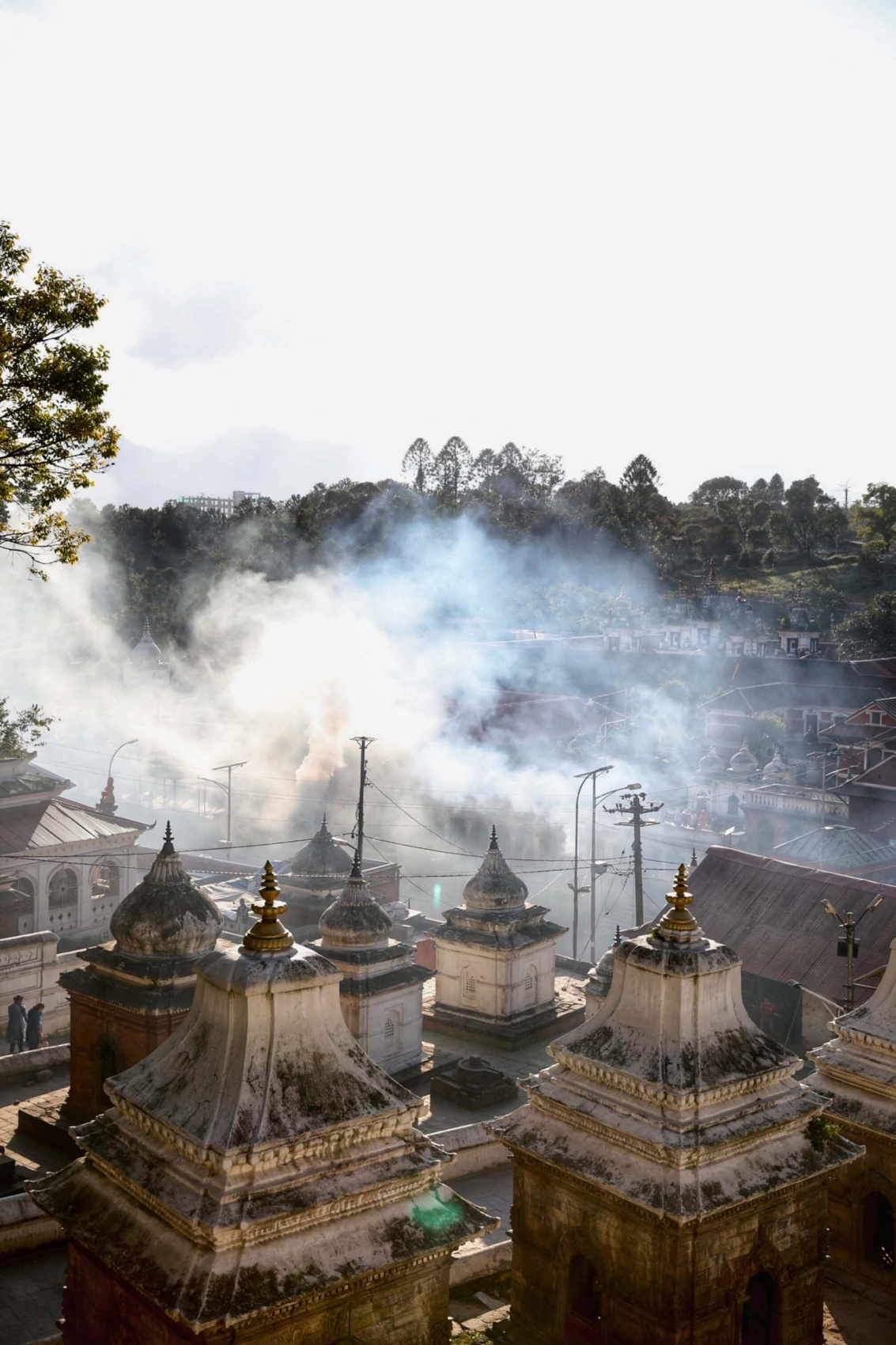Трек Марди Химал. Священный путь к дому Шивы. (14/105)