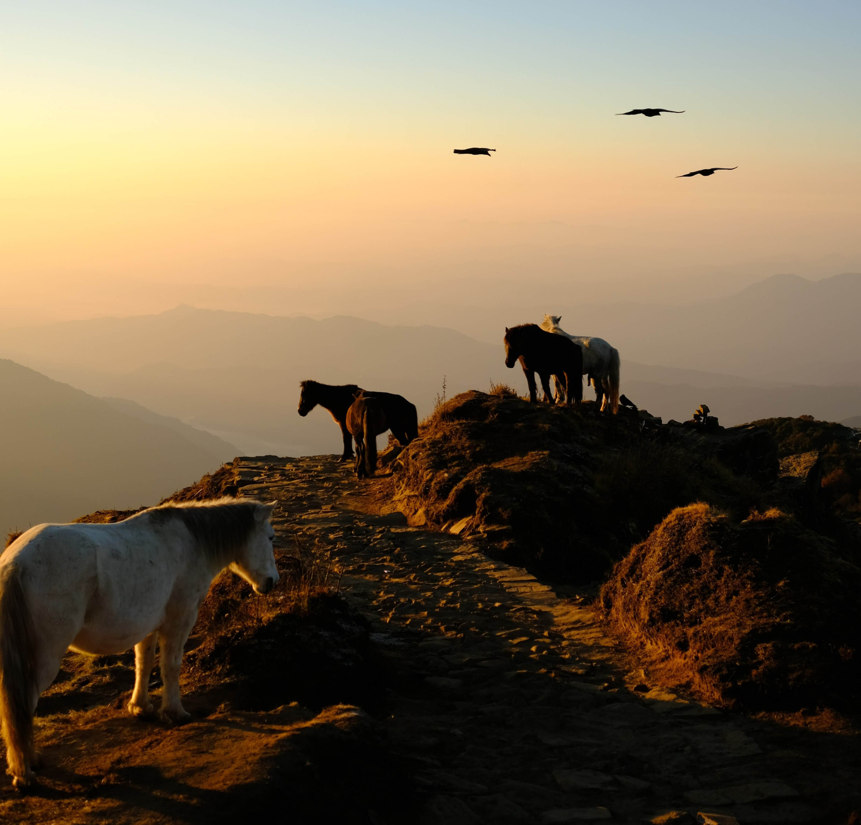 Трек Марди Химал. Священный путь к дому Шивы. (47/105)