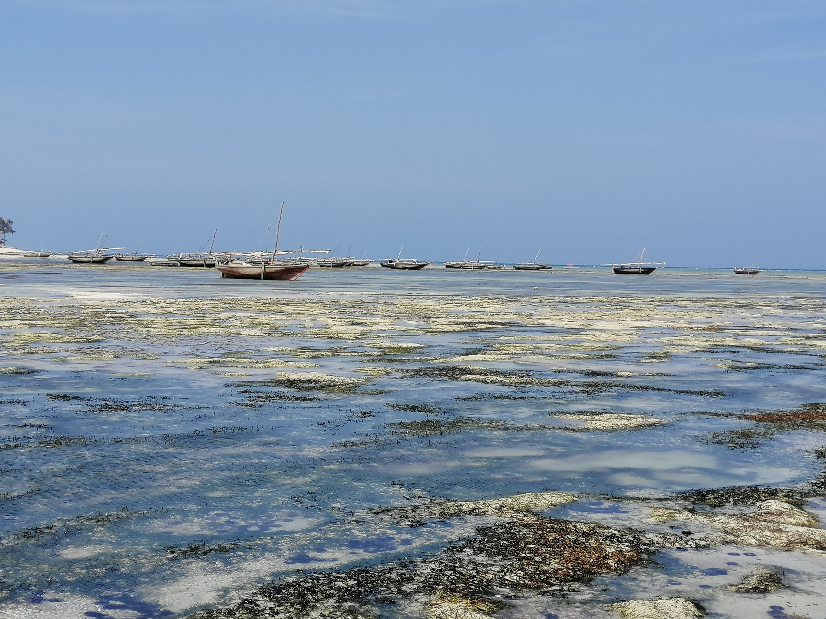 Восхождение на Килиманджаро 5895м. Крыша Африки! (119/159)