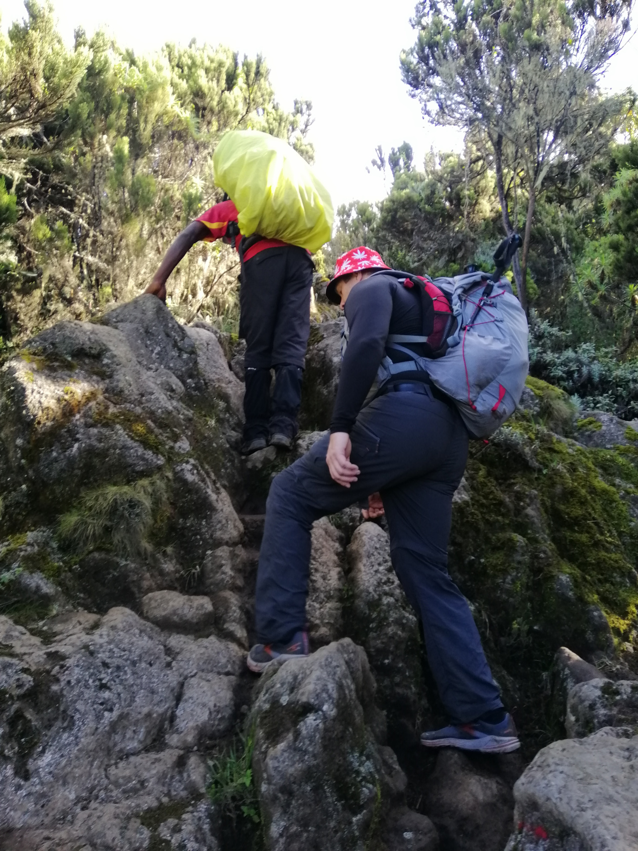 Восхождение на Килиманджаро 5895м. Крыша Африки! (10/159)