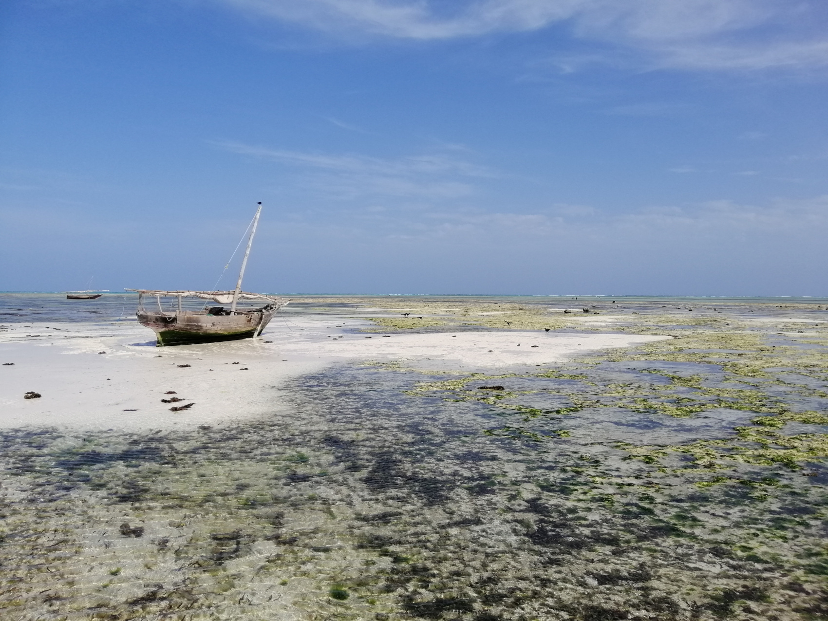 Восхождение на Килиманджаро 5895м. Крыша Африки! (120/159)