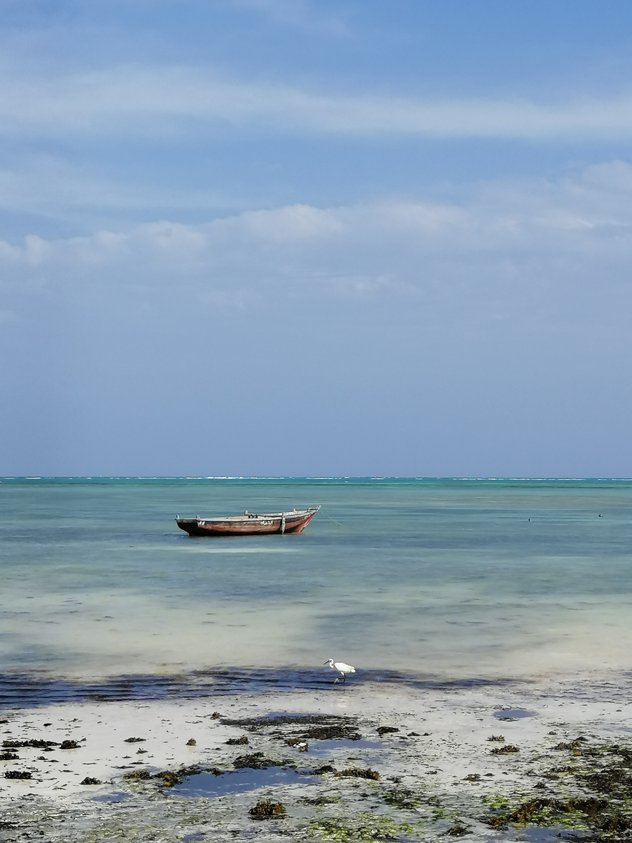 Восхождение на Килиманджаро 5895м. Крыша Африки! (114/159)