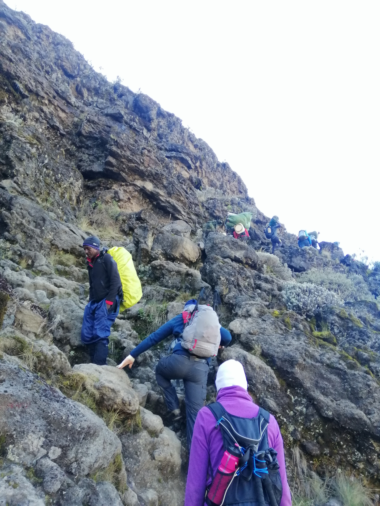 Восхождение на Килиманджаро 5895м. Крыша Африки! (38/159)