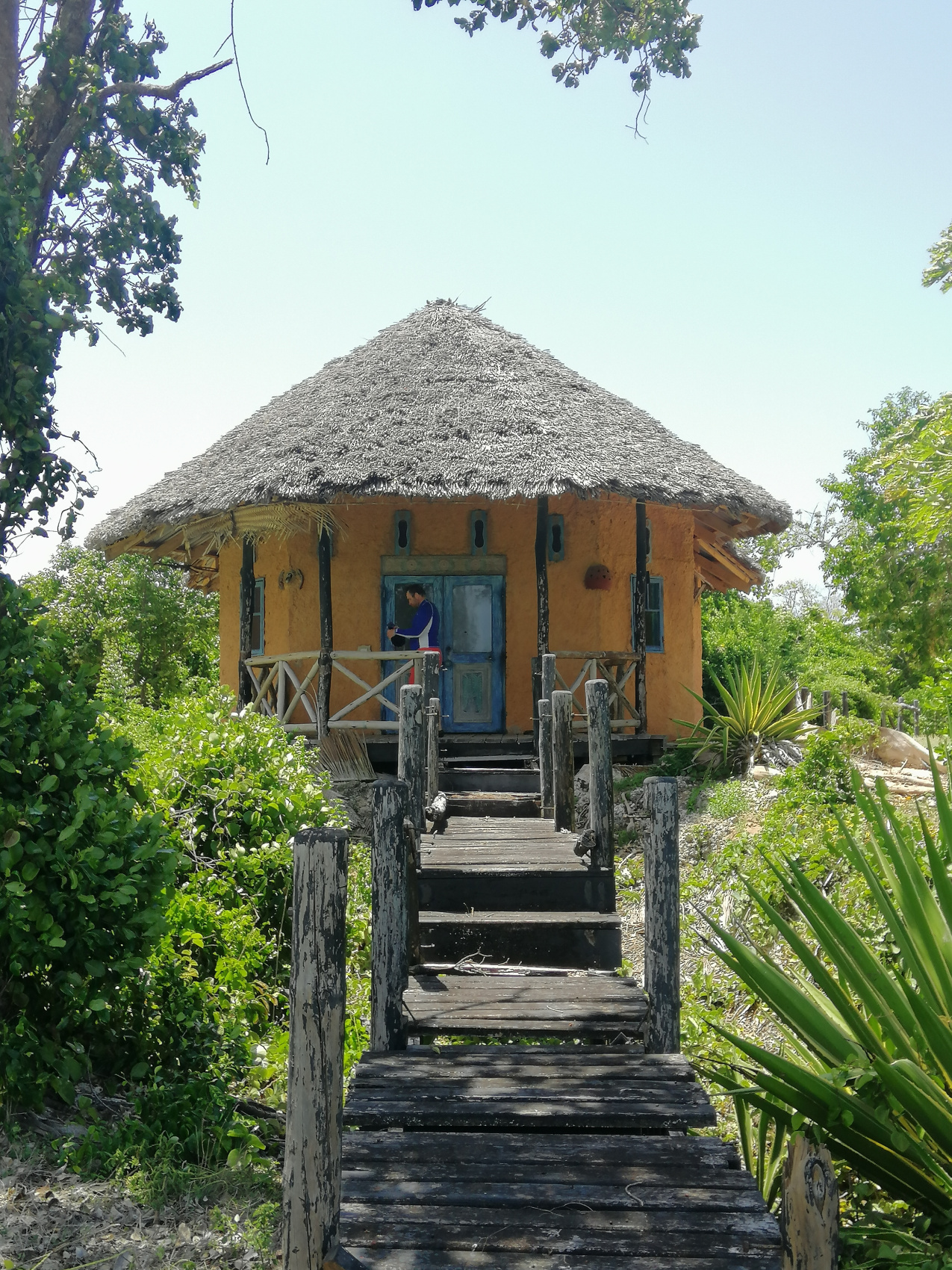 Восхождение на Килиманджаро 5895м. Крыша Африки! (78/159)