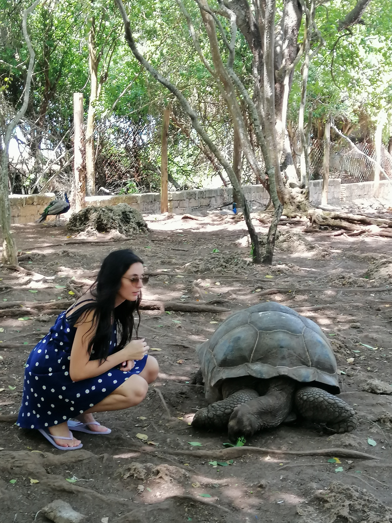 Восхождение на Килиманджаро 5895м. Крыша Африки! (73/159)