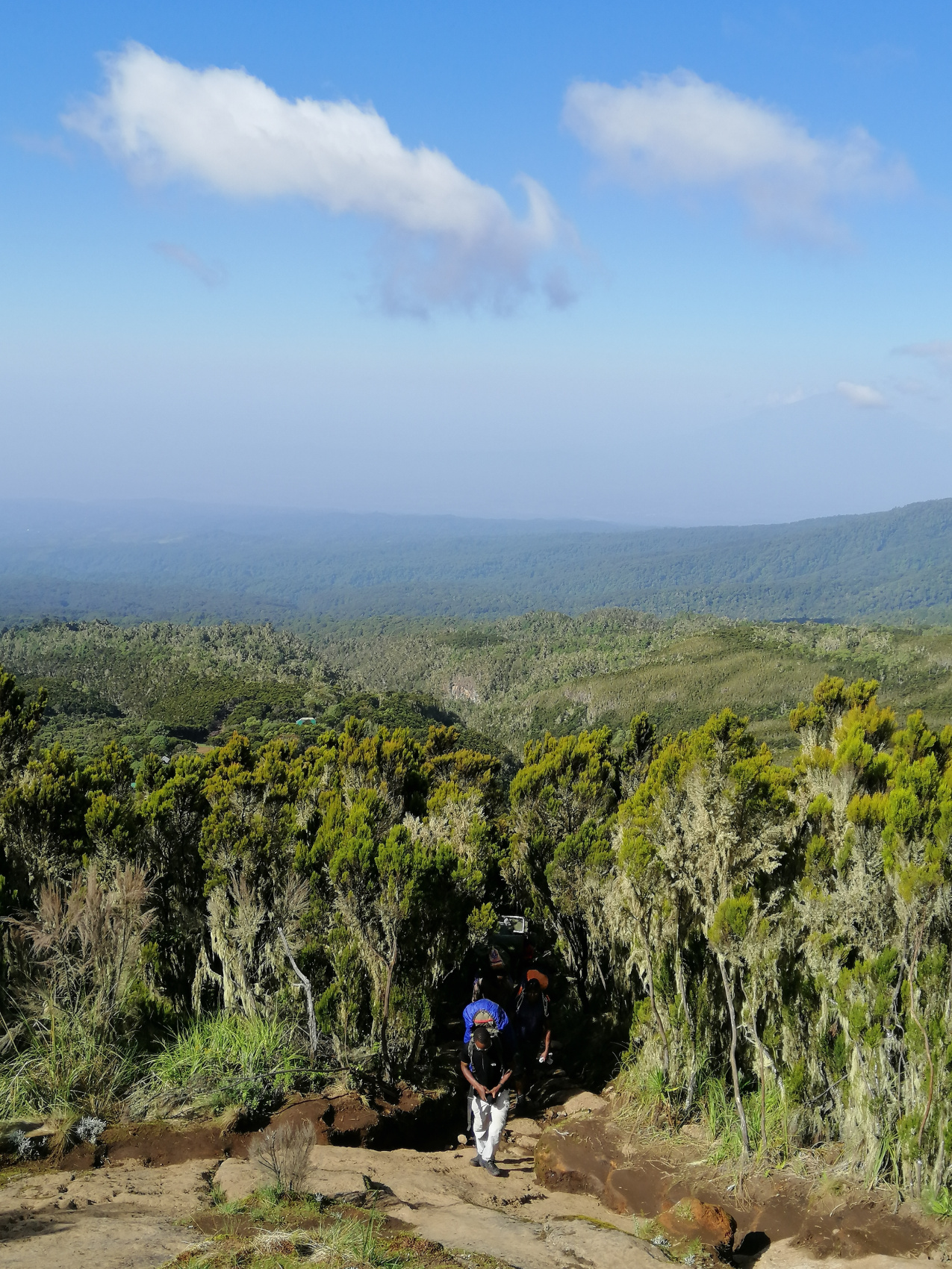 Восхождение на Килиманджаро 5895м. Крыша Африки! (6/159)
