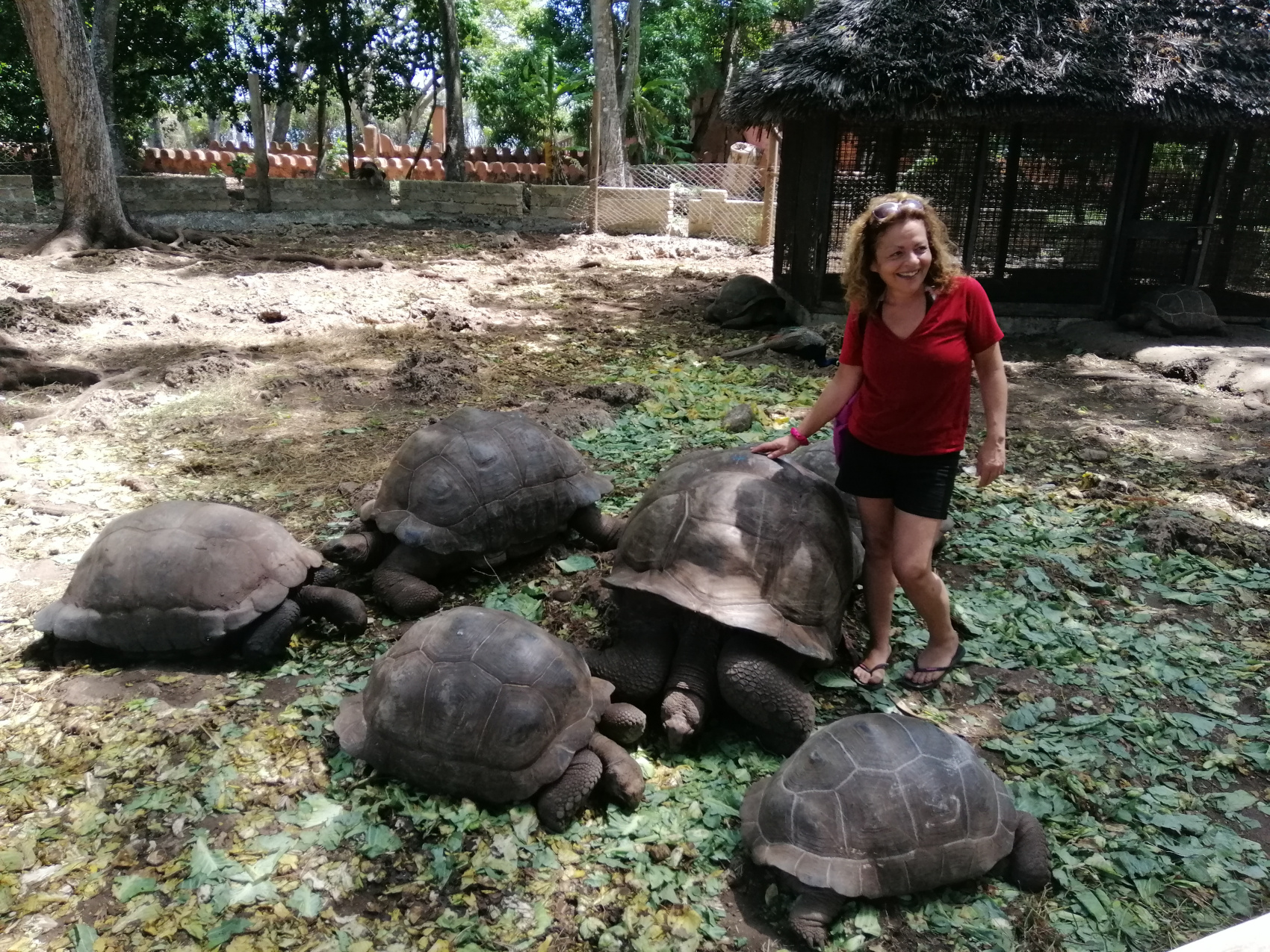 Восхождение на Килиманджаро 5895м. Крыша Африки! (75/159)