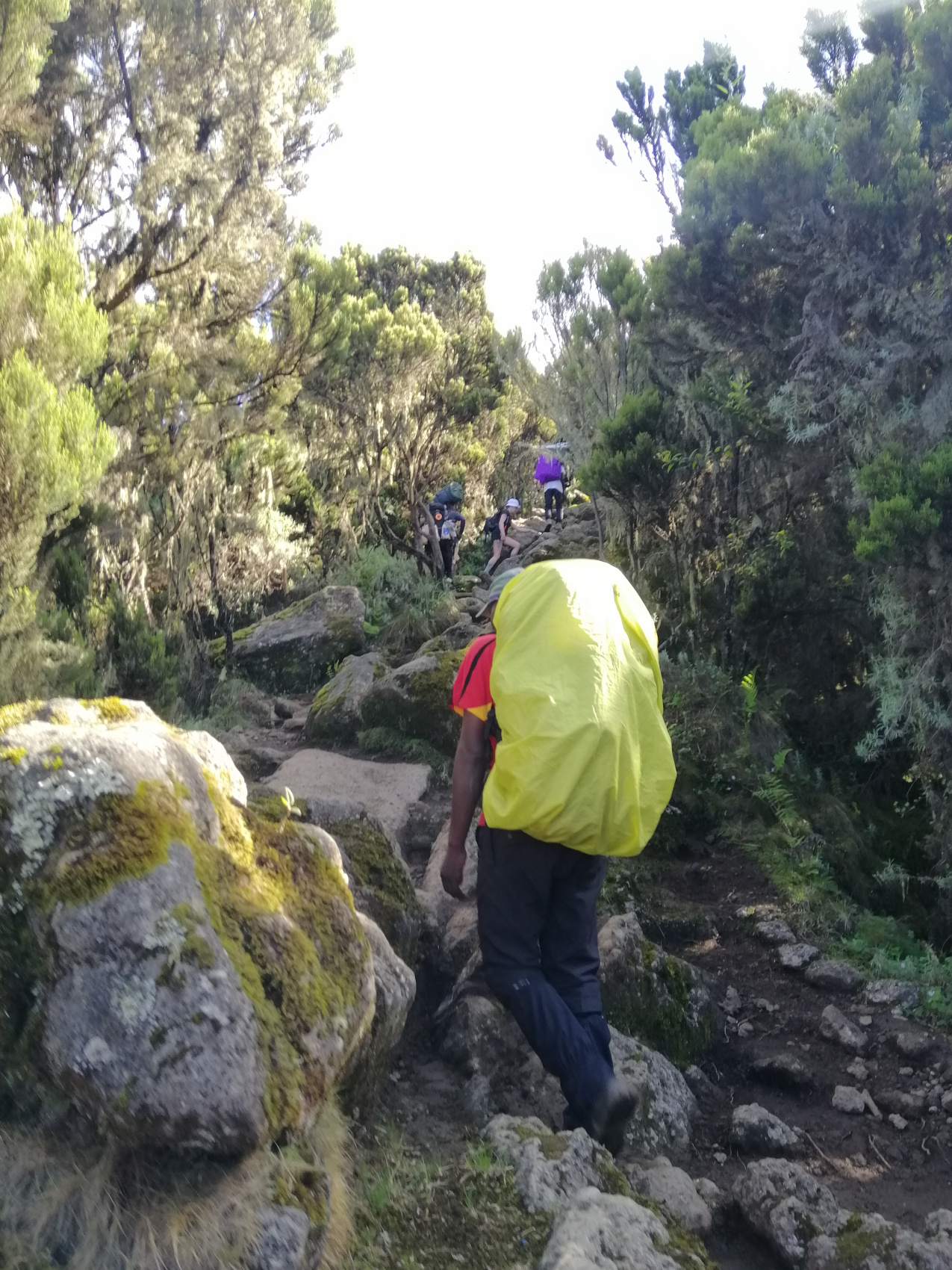 Восхождение на Килиманджаро 5895м. Крыша Африки! (5/159)