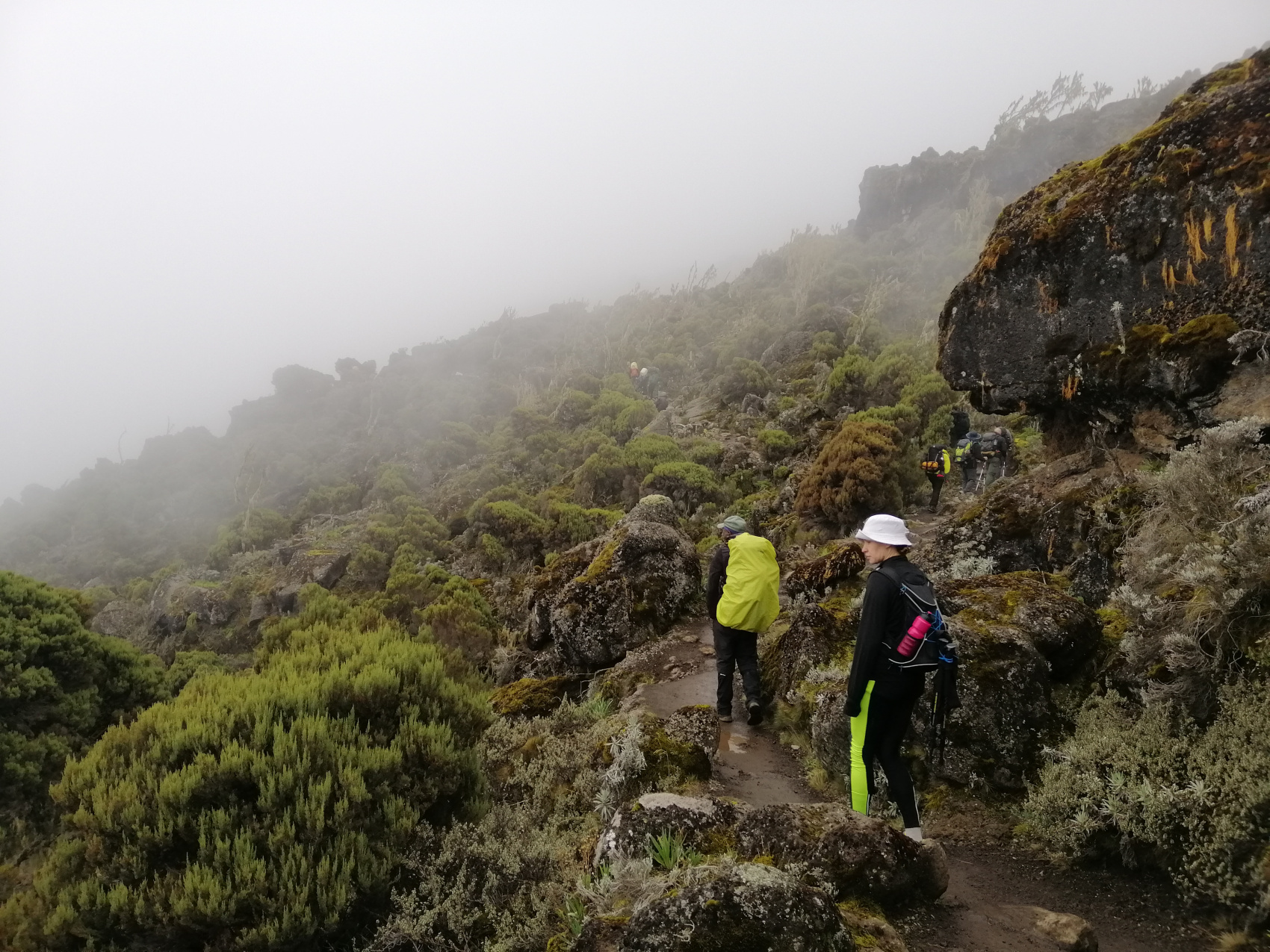 Восхождение на Килиманджаро 5895м. Крыша Африки! (11/159)