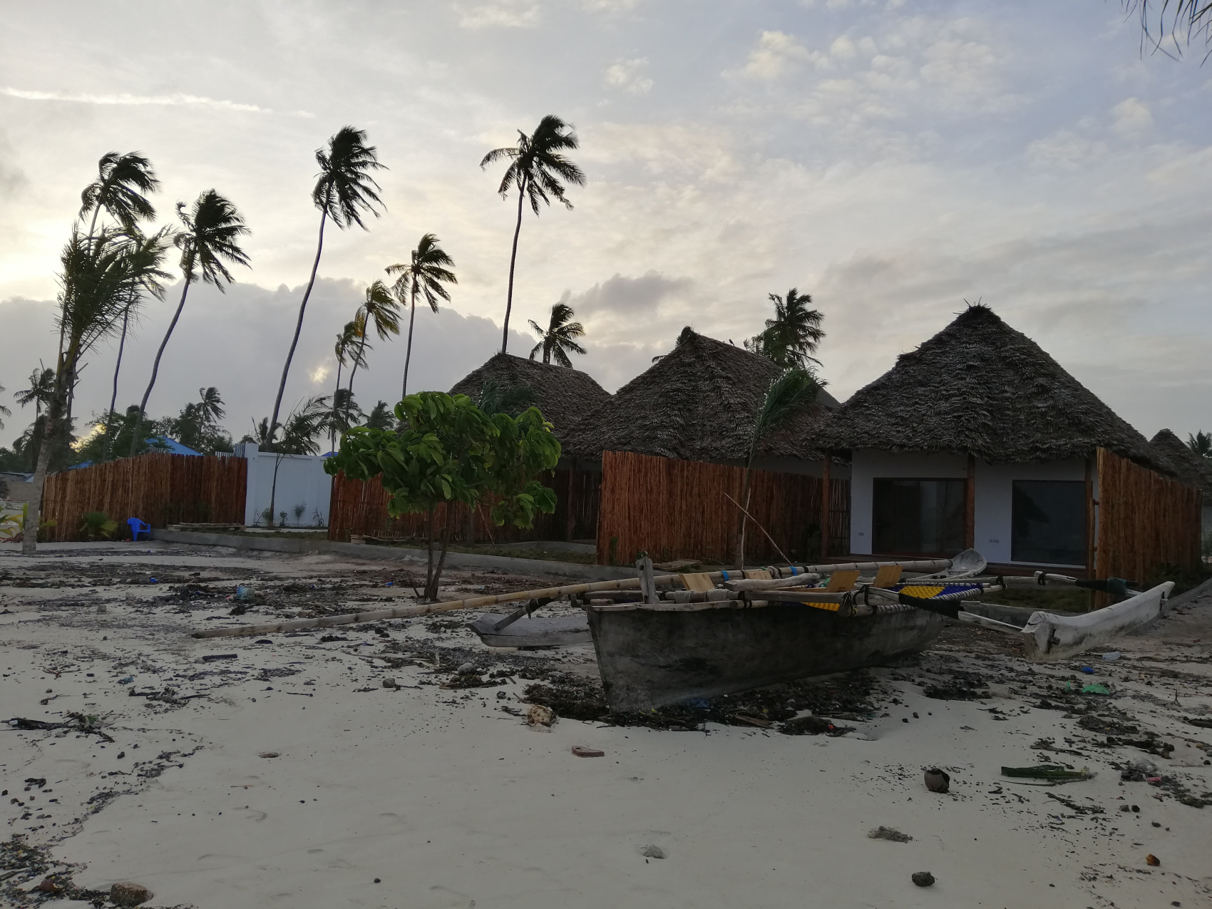 Восхождение на Килиманджаро 5895м. Крыша Африки! (110/159)