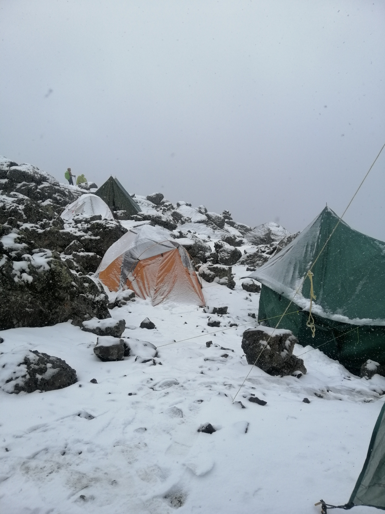 Восхождение на Килиманджаро 5895м. Крыша Африки! (58/159)