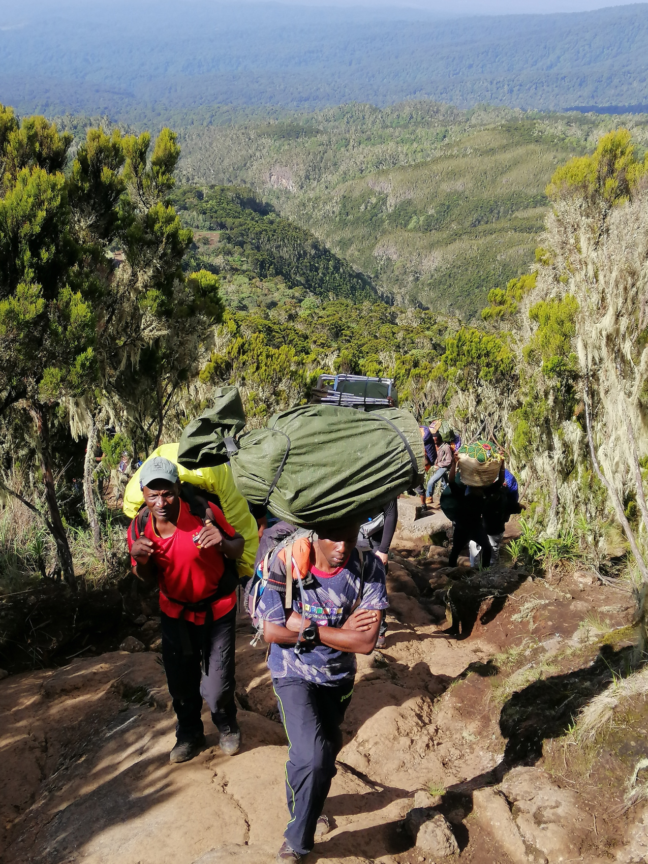 Восхождение на Килиманджаро 5895м. Крыша Африки! (7/159)