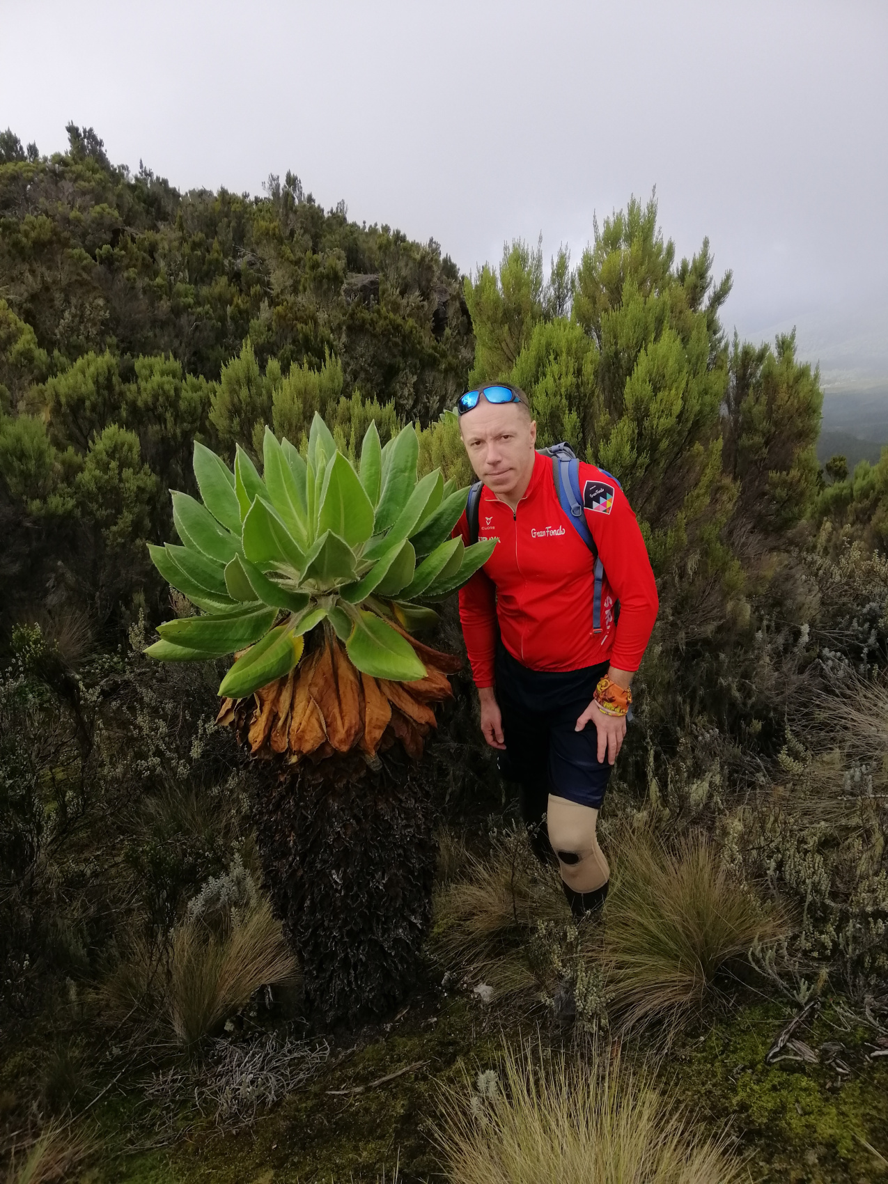 Восхождение на Килиманджаро 5895м. Крыша Африки! (9/159)