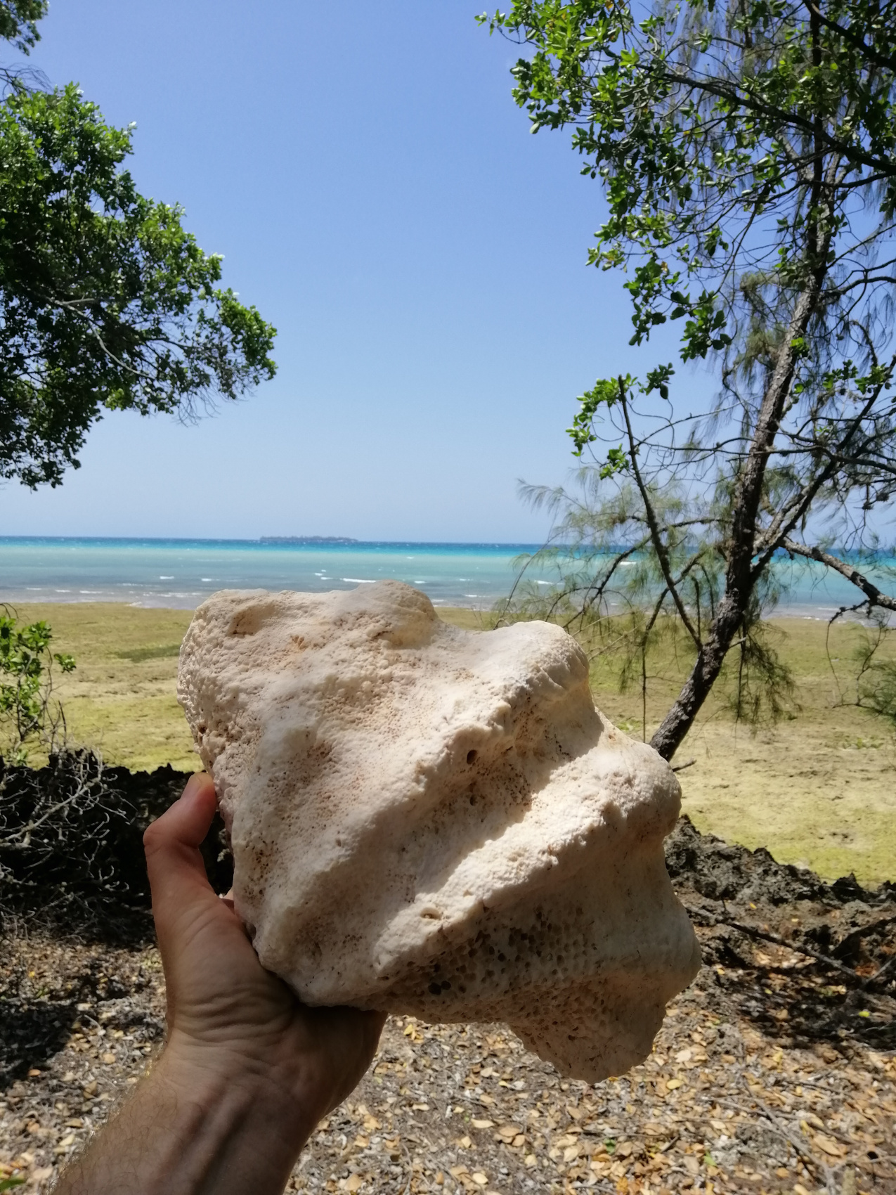 Восхождение на Килиманджаро 5895м. Крыша Африки! (79/159)