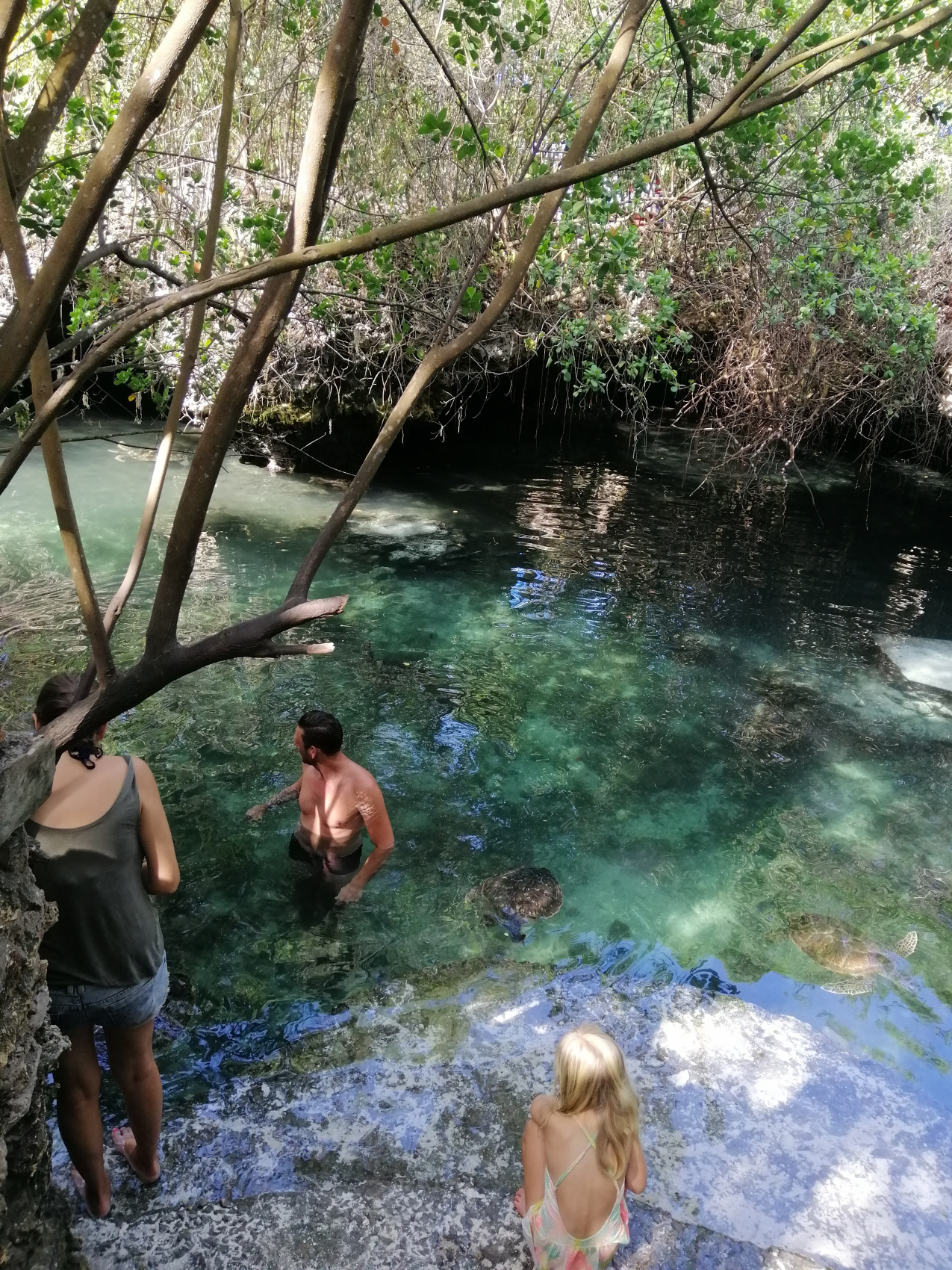 Восхождение на Килиманджаро 5895м. Крыша Африки! (117/159)