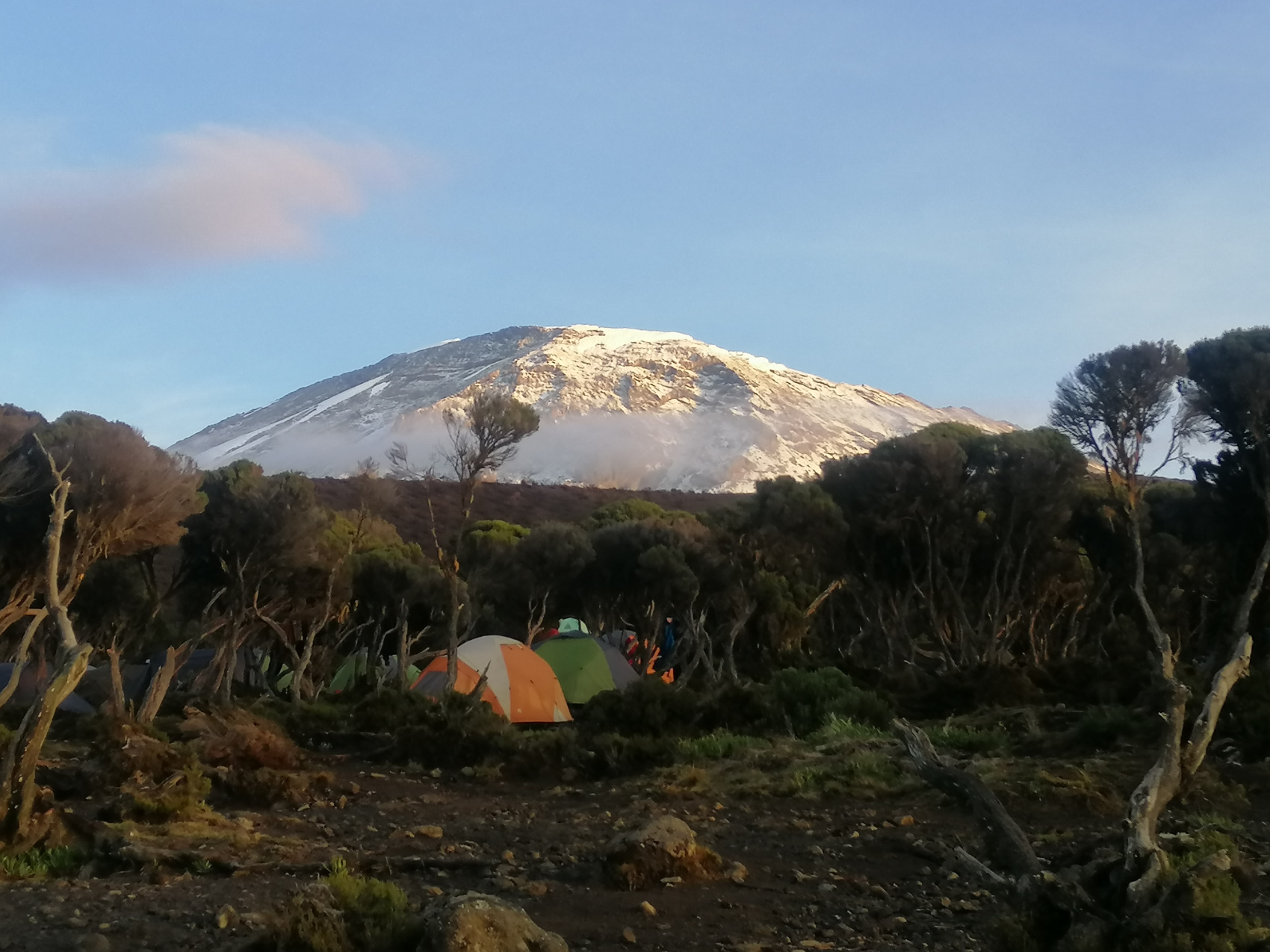 Восхождение на Килиманджаро 5895м. Крыша Африки! (64/159)