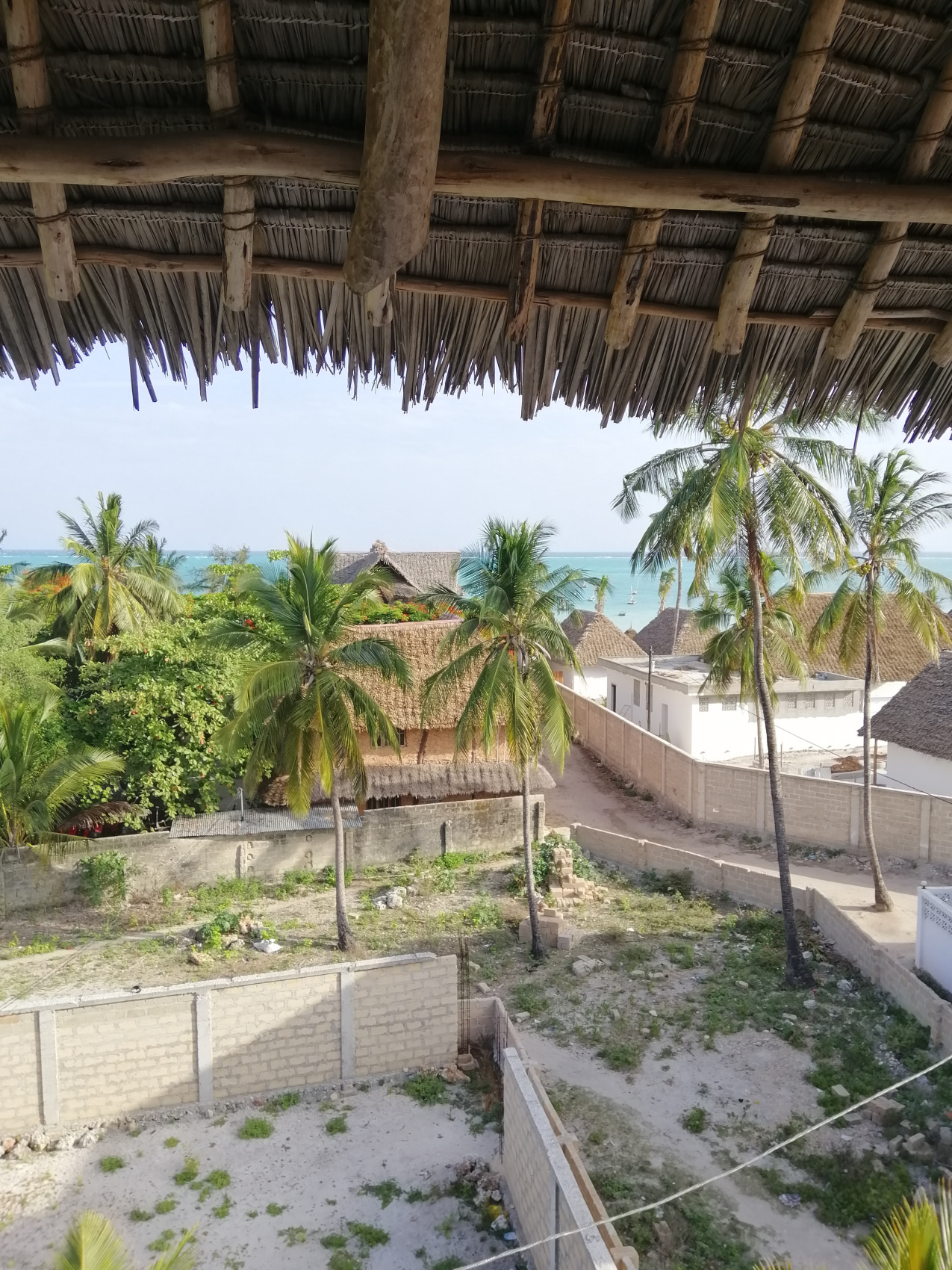 Восхождение на Килиманджаро 5895м. Крыша Африки! (116/159)