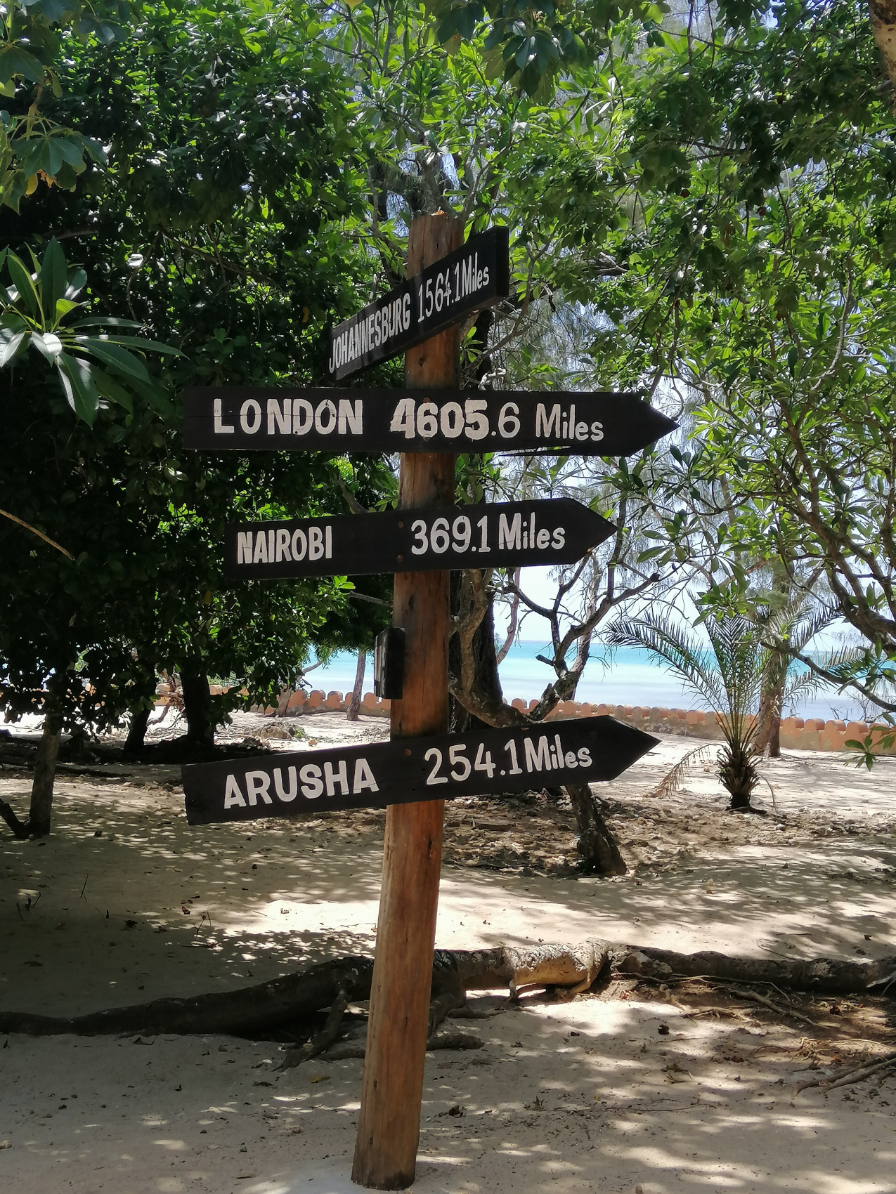 Восхождение на Килиманджаро 5895м. Крыша Африки! (74/159)