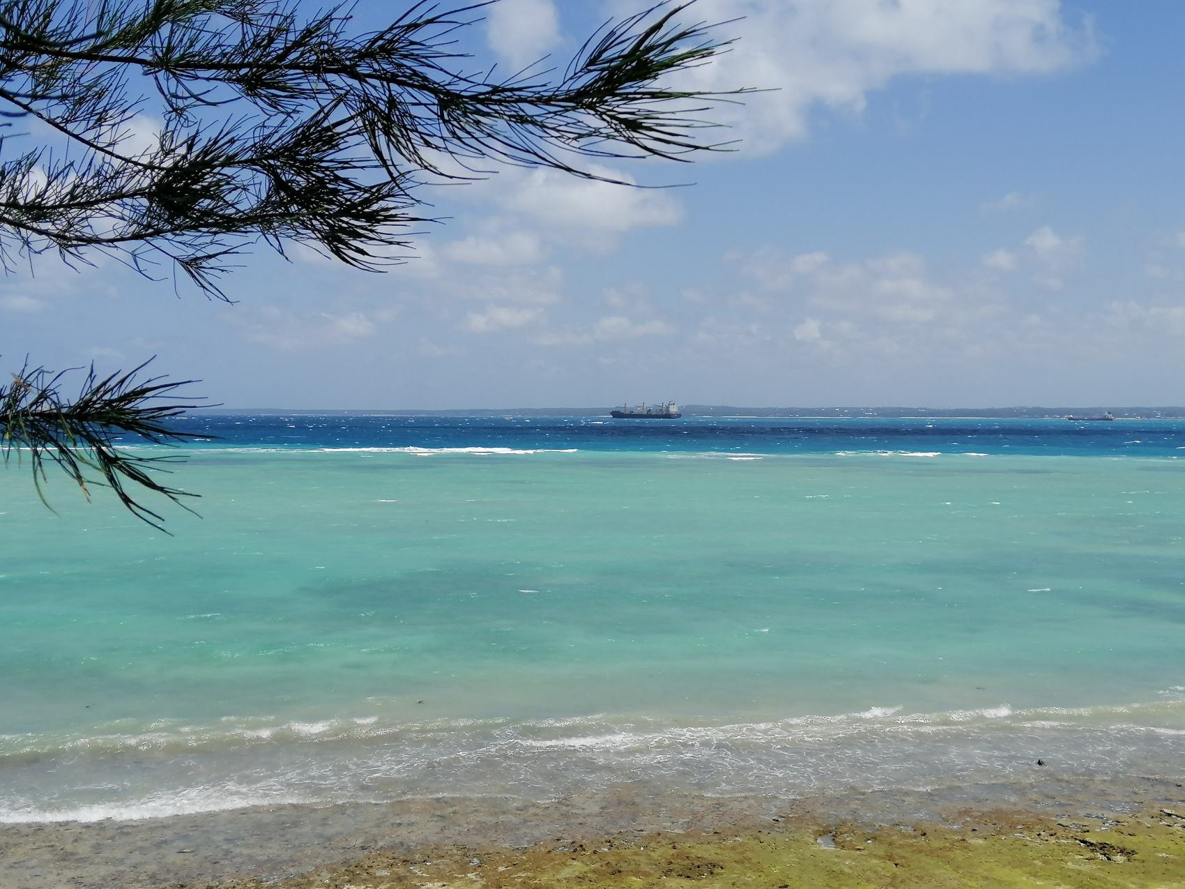 Восхождение на Килиманджаро 5895м. Крыша Африки! (77/159)