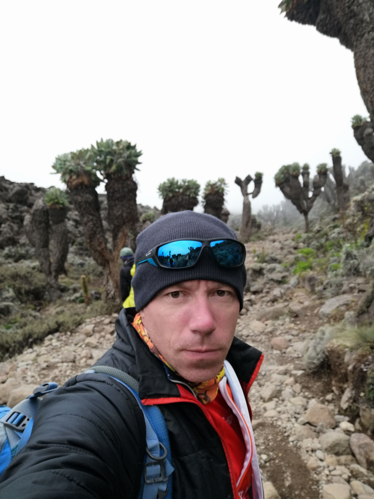 Восхождение на Килиманджаро 5895м. Крыша Африки! (33/159)