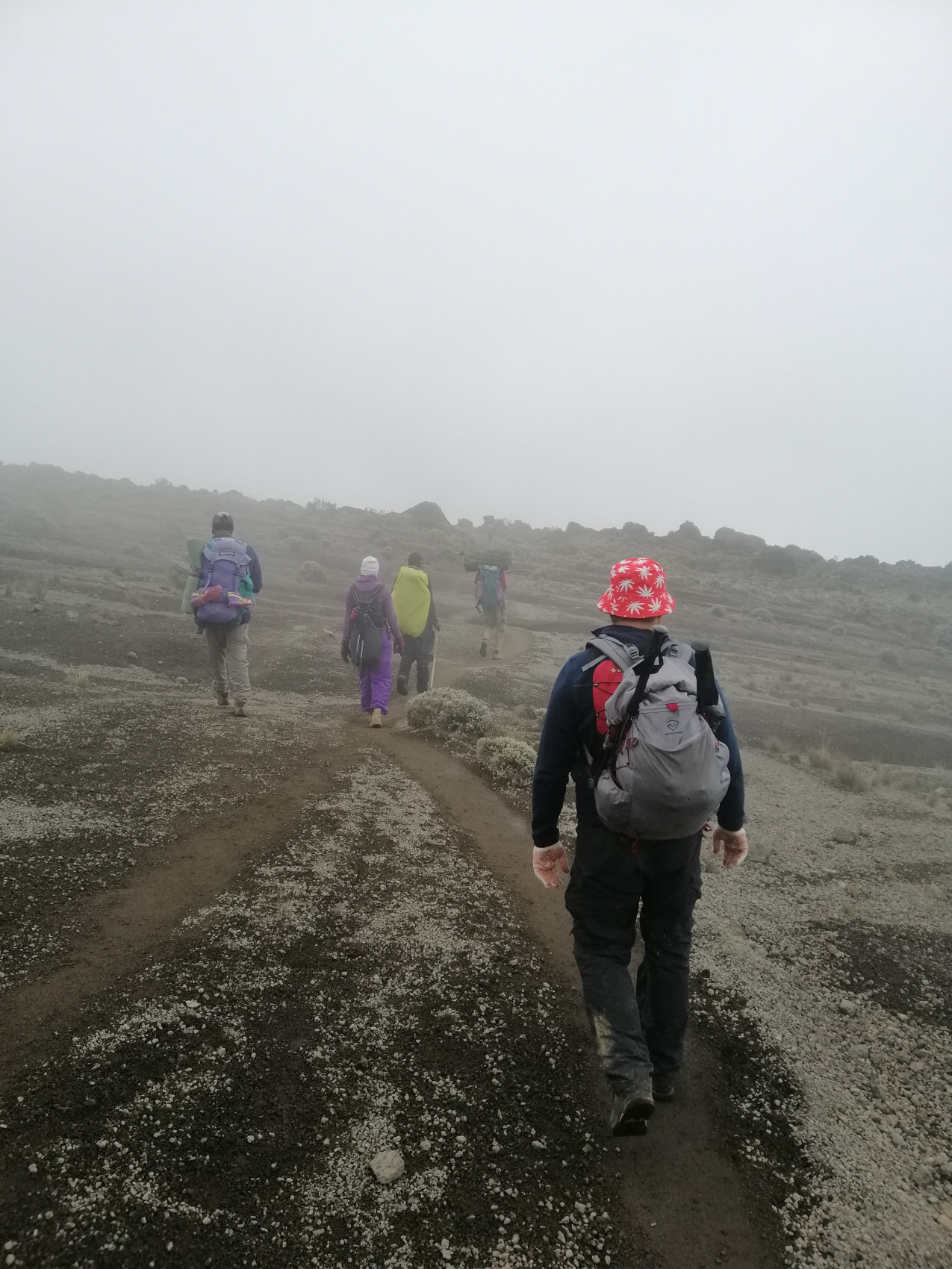 Восхождение на Килиманджаро 5895м. Крыша Африки! (44/159)