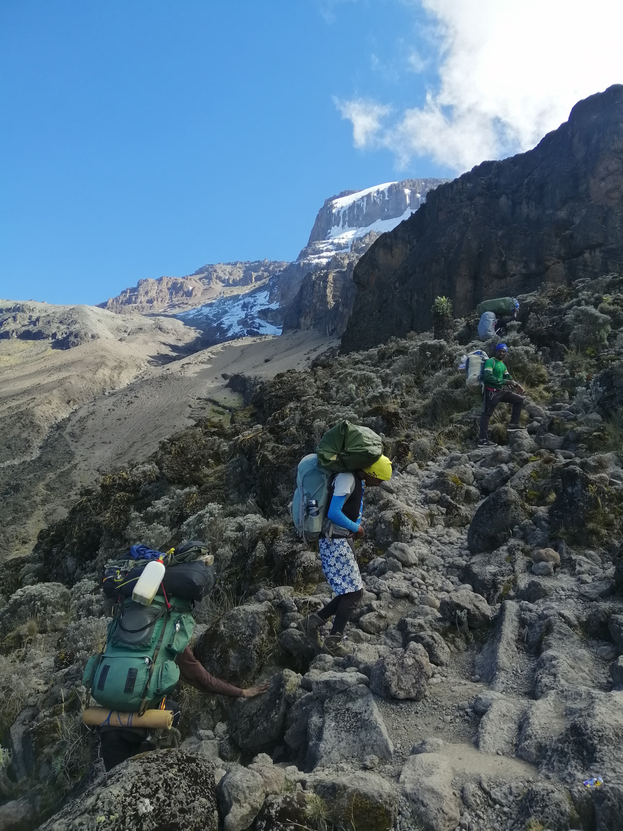 Восхождение на Килиманджаро 5895м. Крыша Африки! (39/159)