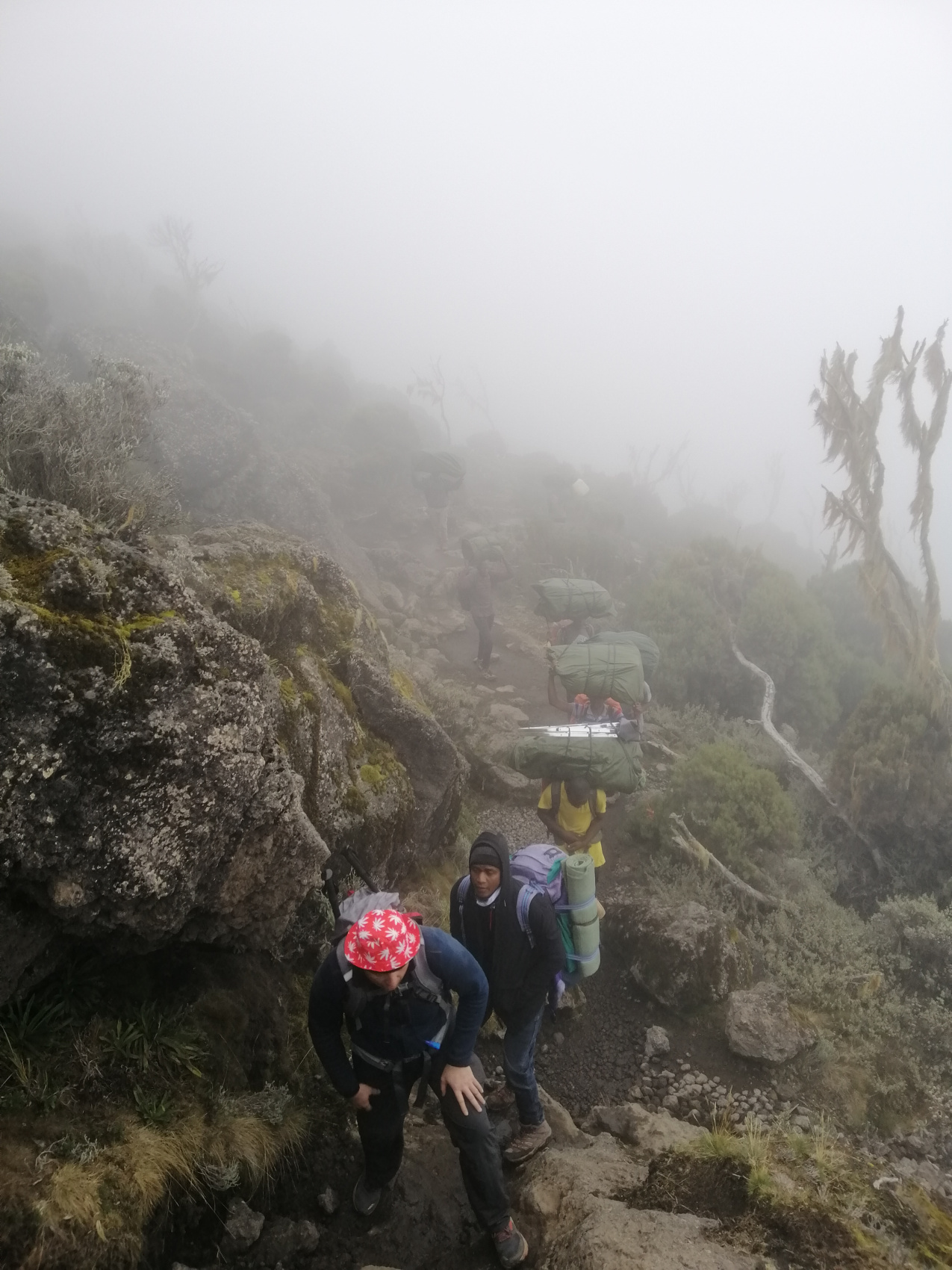 Восхождение на Килиманджаро 5895м. Крыша Африки! (12/159)