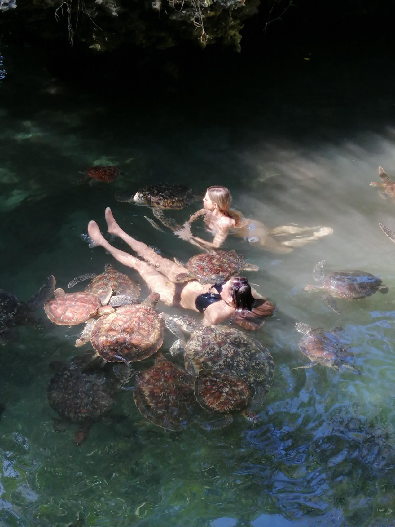 Восхождение на Килиманджаро 5895м. Крыша Африки! (118/159)