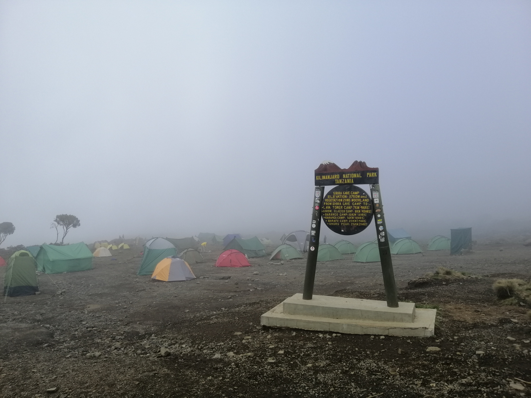 Восхождение на Килиманджаро 5895м. Крыша Африки! (16/159)