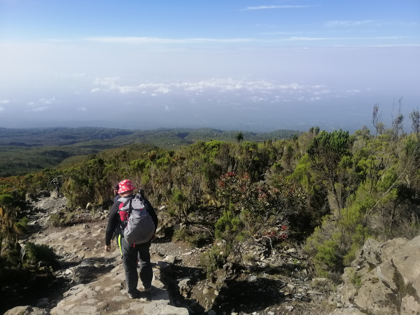 Восхождение на Килиманджаро 5895м. Крыша Африки! (65/159)