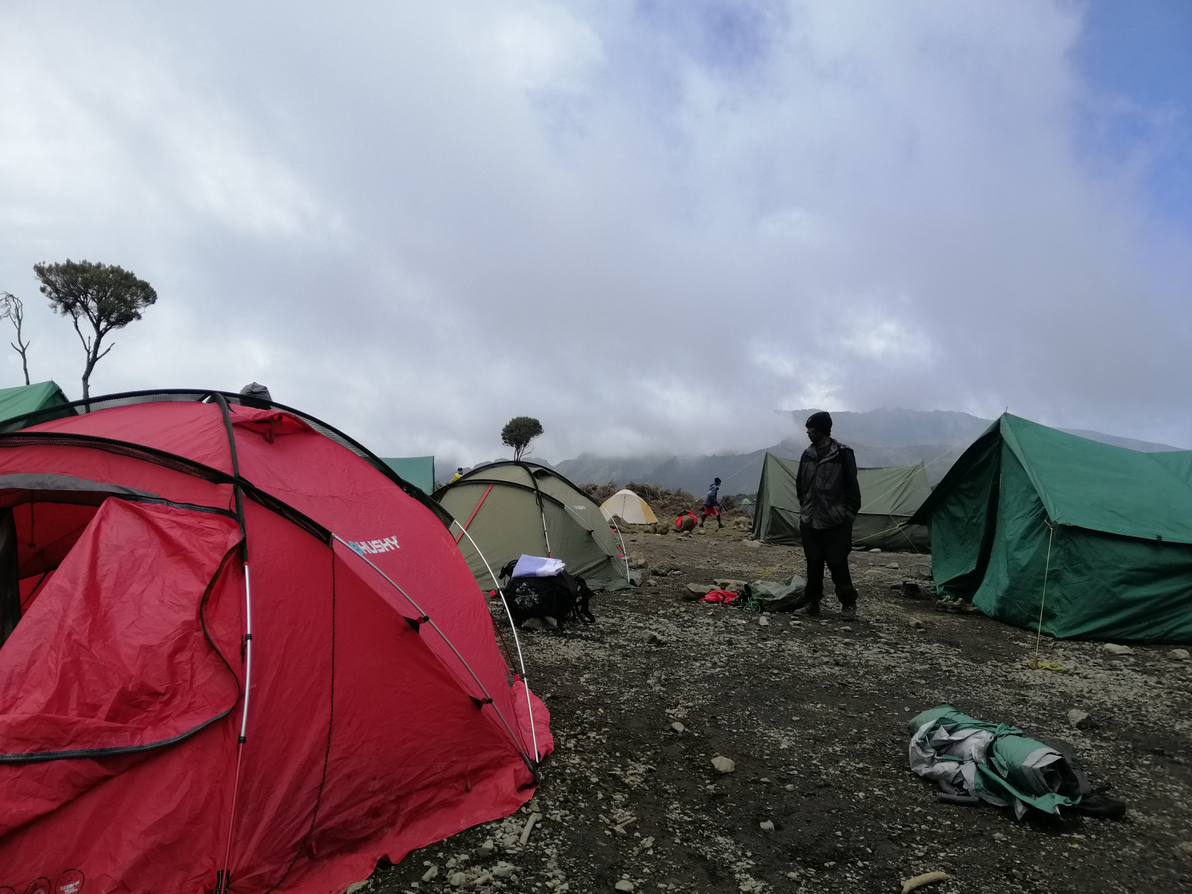 Восхождение на Килиманджаро 5895м. Крыша Африки! (13/159)