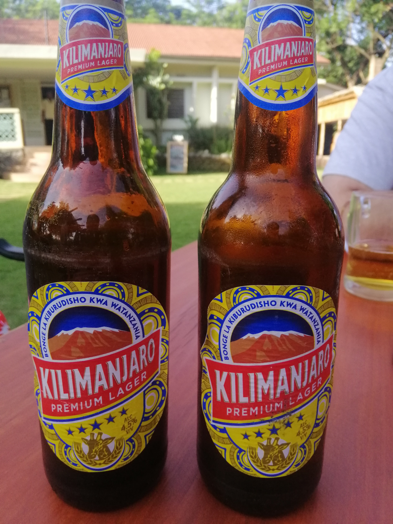 Восхождение на Килиманджаро 5895м. Крыша Африки! (70/159)