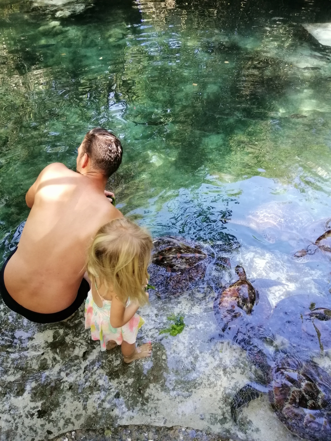 Восхождение на Килиманджаро 5895м. Крыша Африки! (115/159)