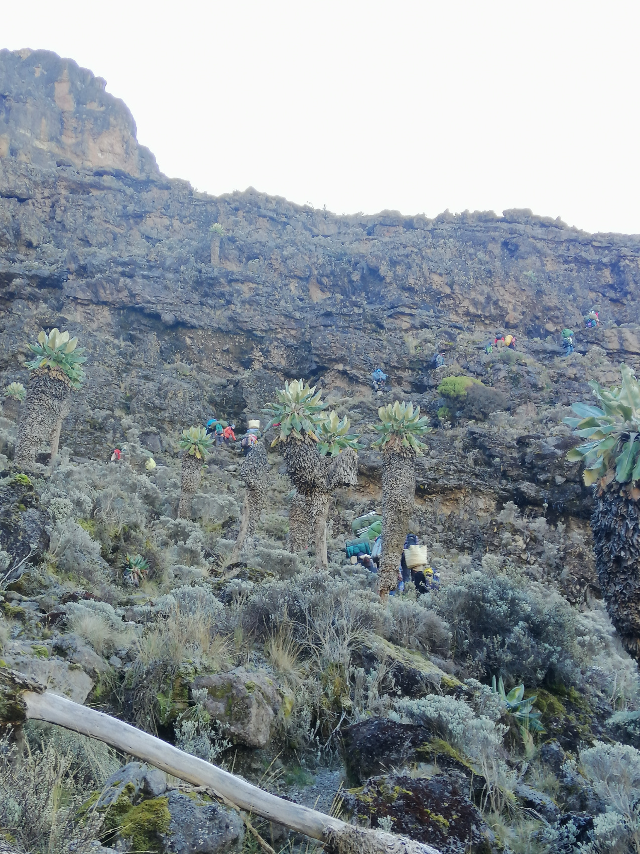 Восхождение на Килиманджаро 5895м. Крыша Африки! (36/159)