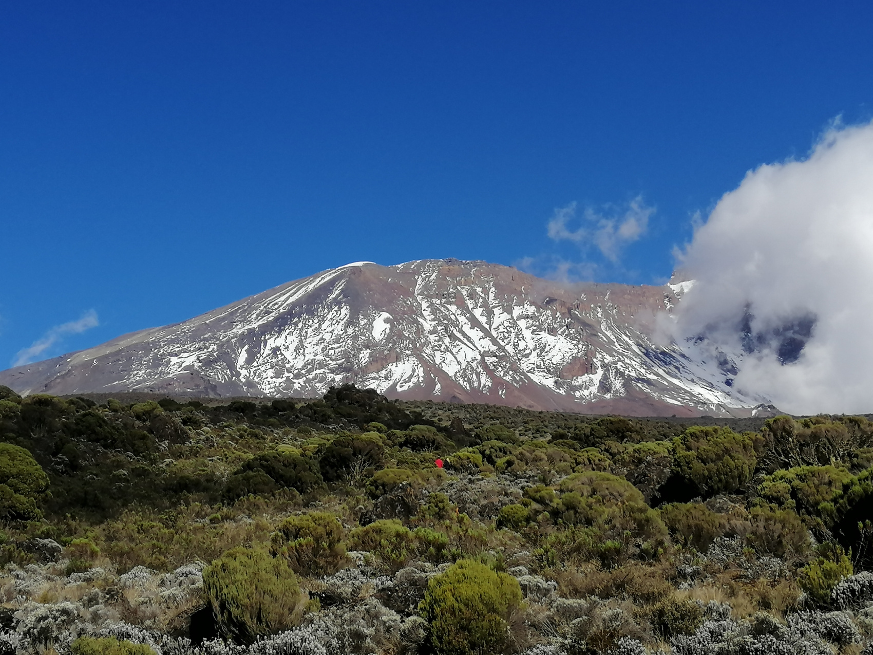 Восхождение на Килиманджаро 5895м. Крыша Африки! (21/159)
