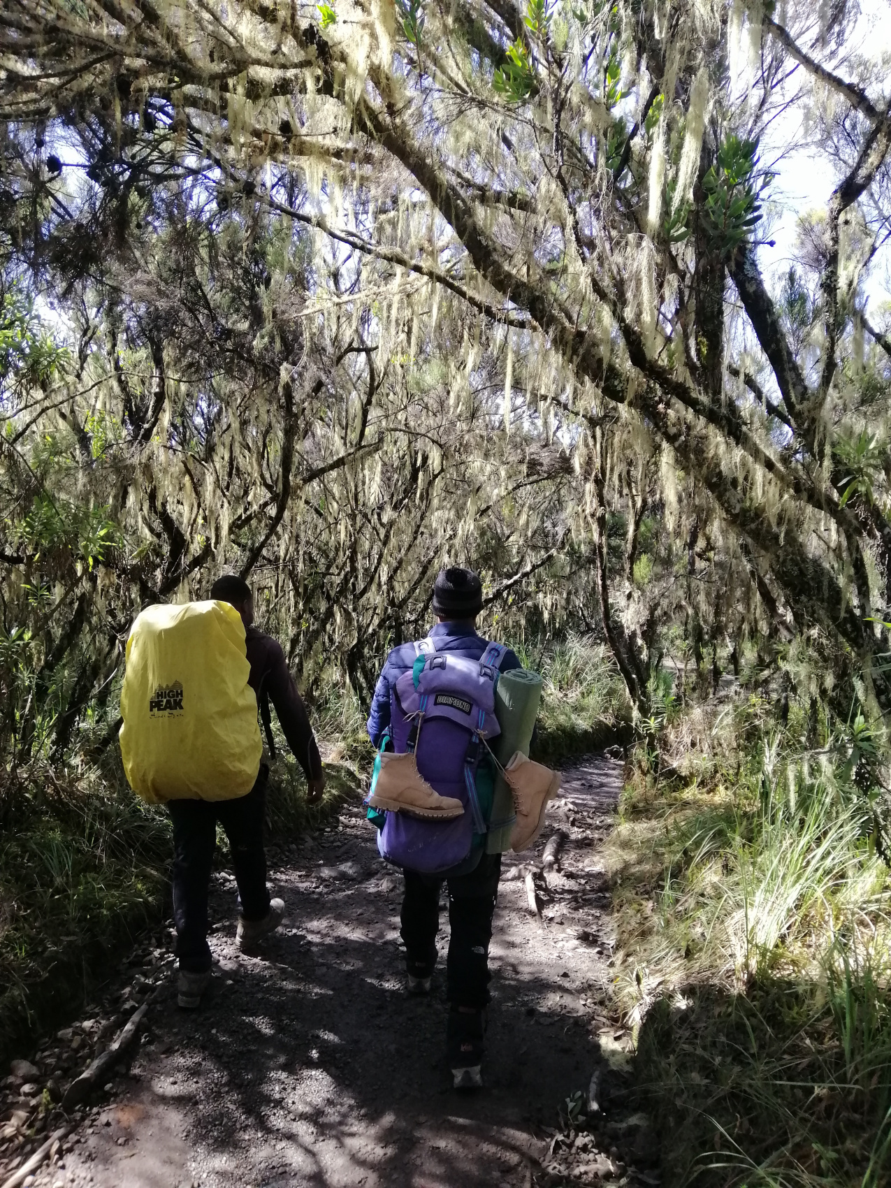 Восхождение на Килиманджаро 5895м. Крыша Африки! (69/159)