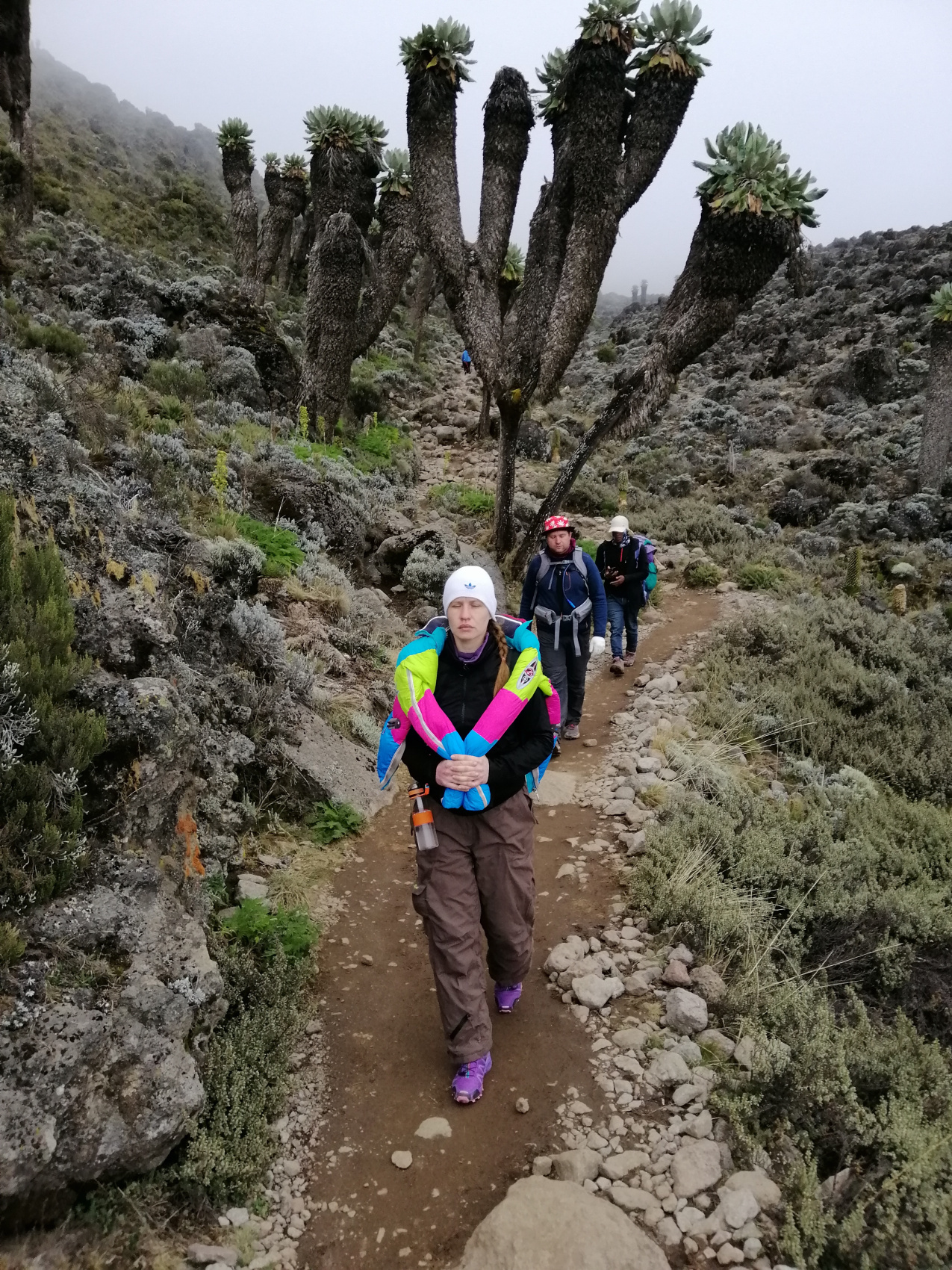 Восхождение на Килиманджаро 5895м. Крыша Африки! (34/159)