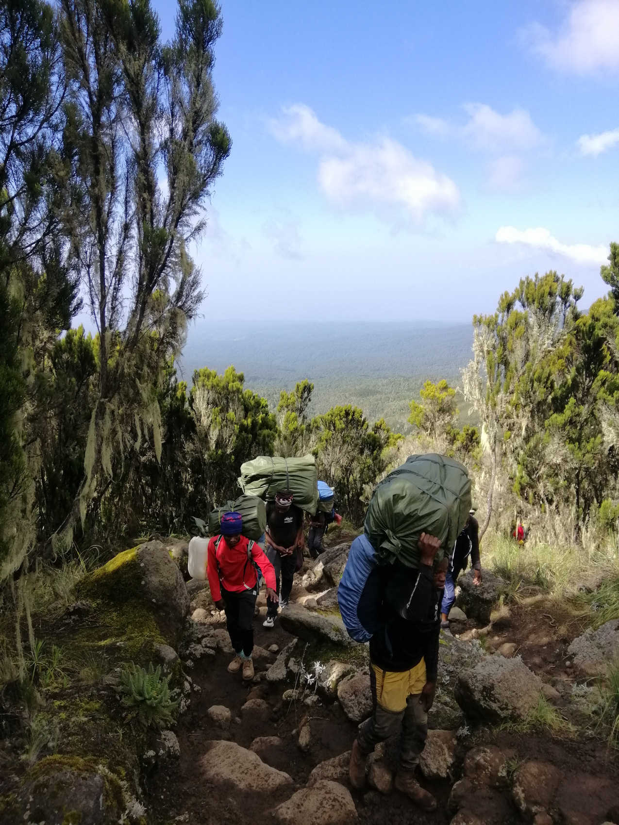 Восхождение на Килиманджаро 5895м. Крыша Африки! (8/159)