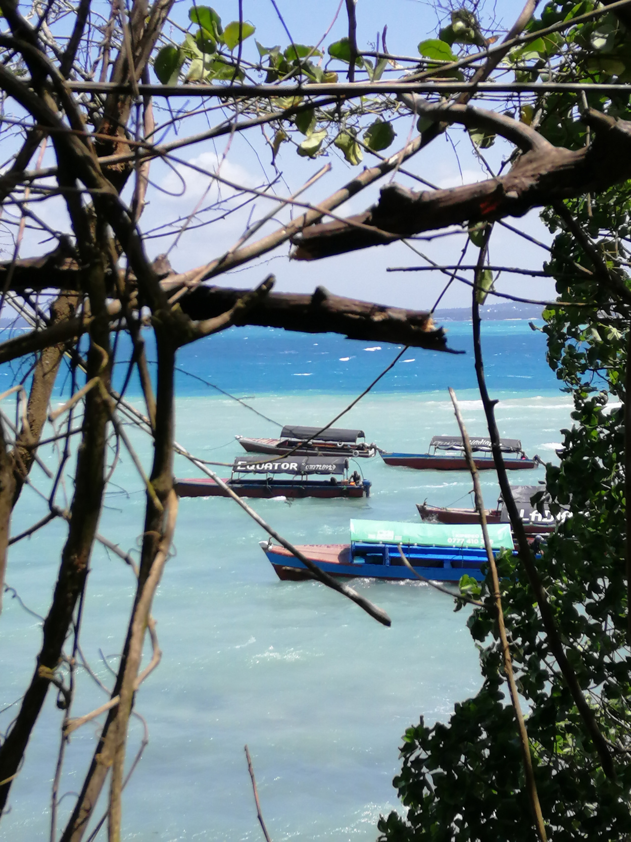 Восхождение на Килиманджаро 5895м. Крыша Африки! (76/159)