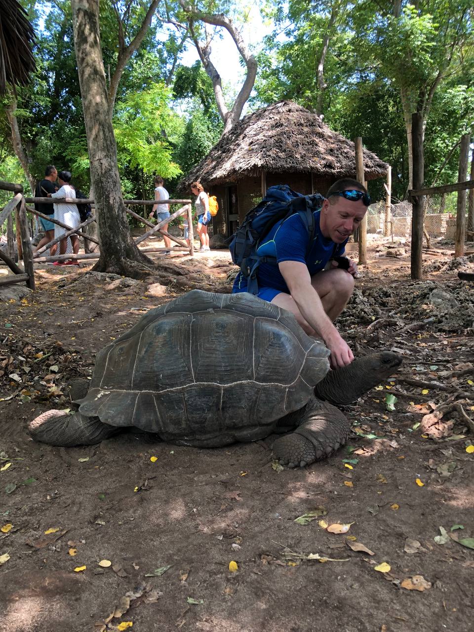 Восхождение на Килиманджаро 5895м. Крыша Африки! (129/159)