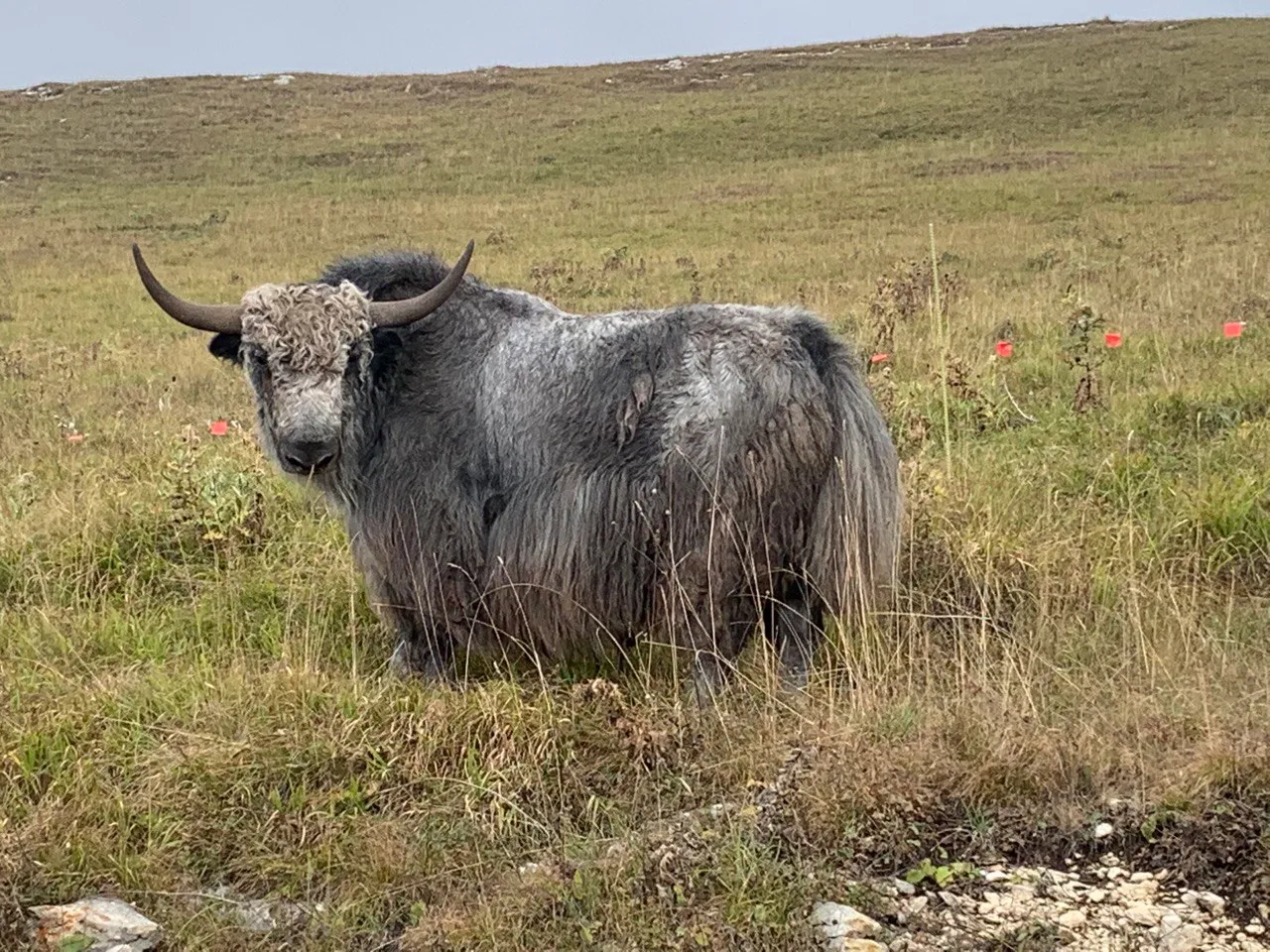 Идеальный отпуск в горах: топовые места Кавказа за неделю! (28/53)