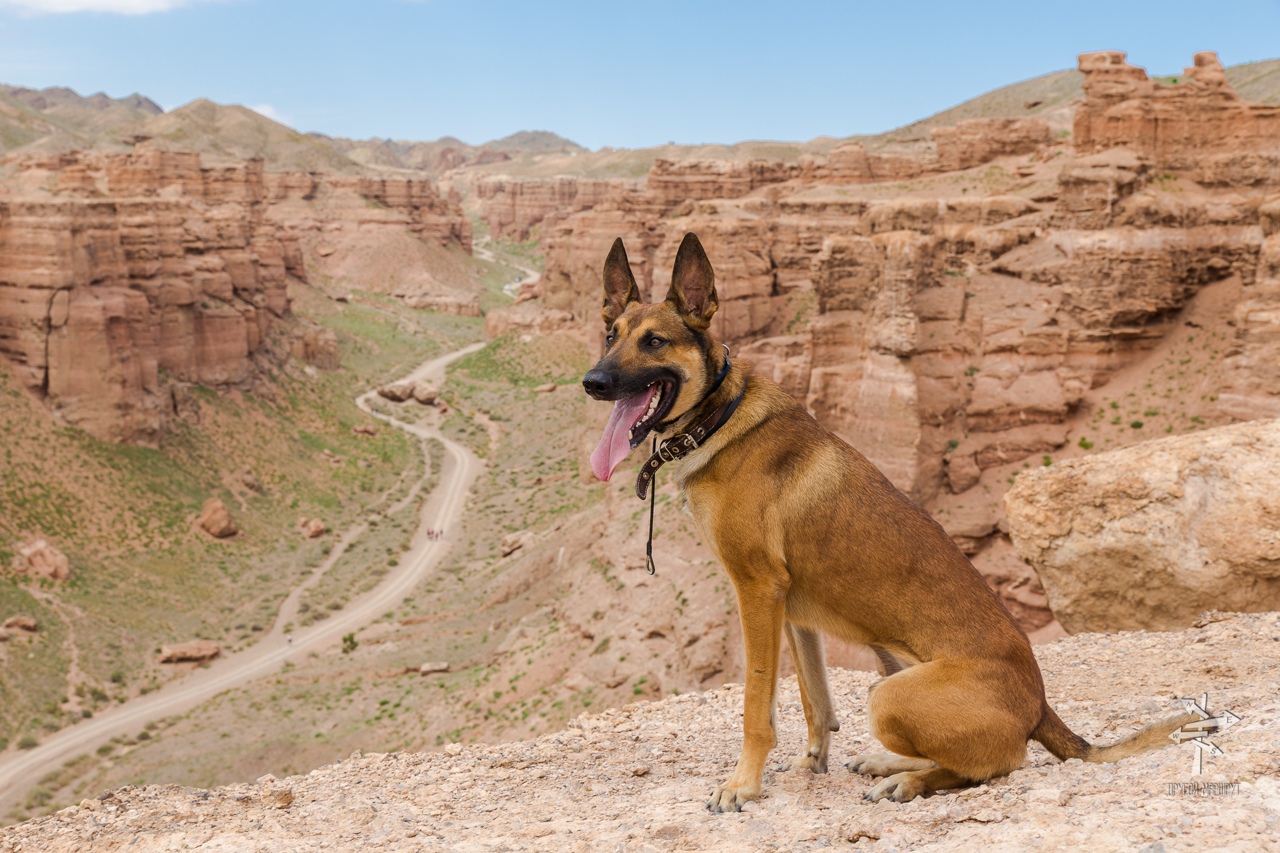 Горы и озера Казахстана. Авторский тур (12/52)