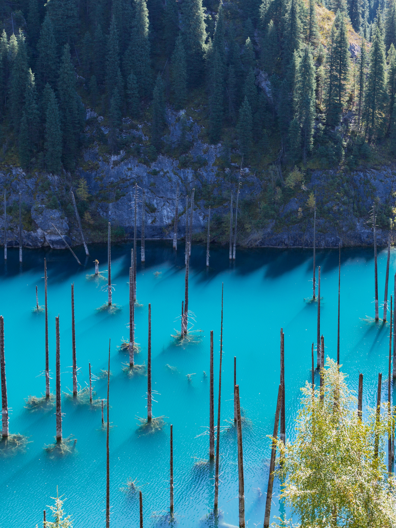 Горы и озера Казахстана. Авторский тур (8/52)